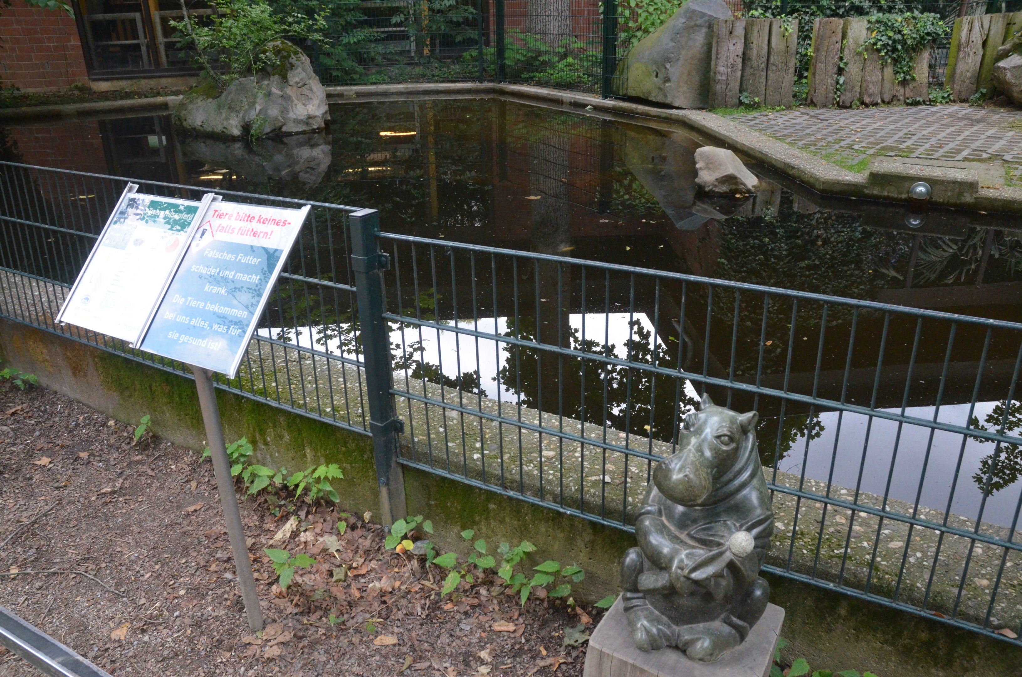 Pygmy Hippo Outdoor Enclosure at Krefeld, 15/06/19