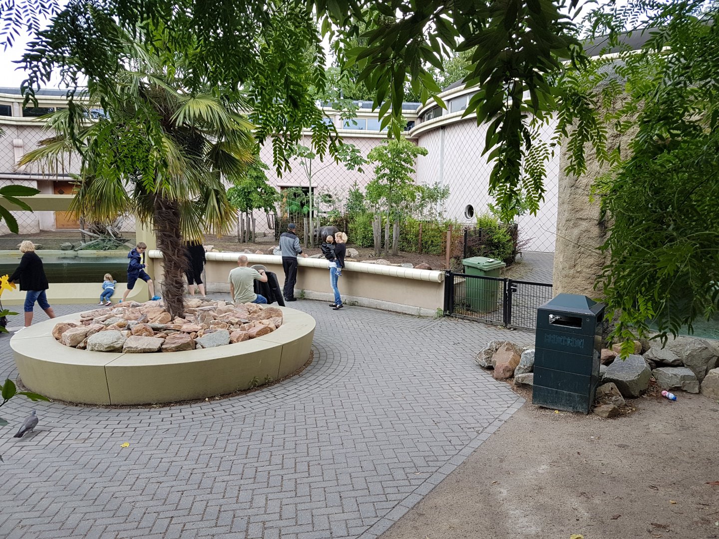Pygmy Hippo outdoor-enclosure