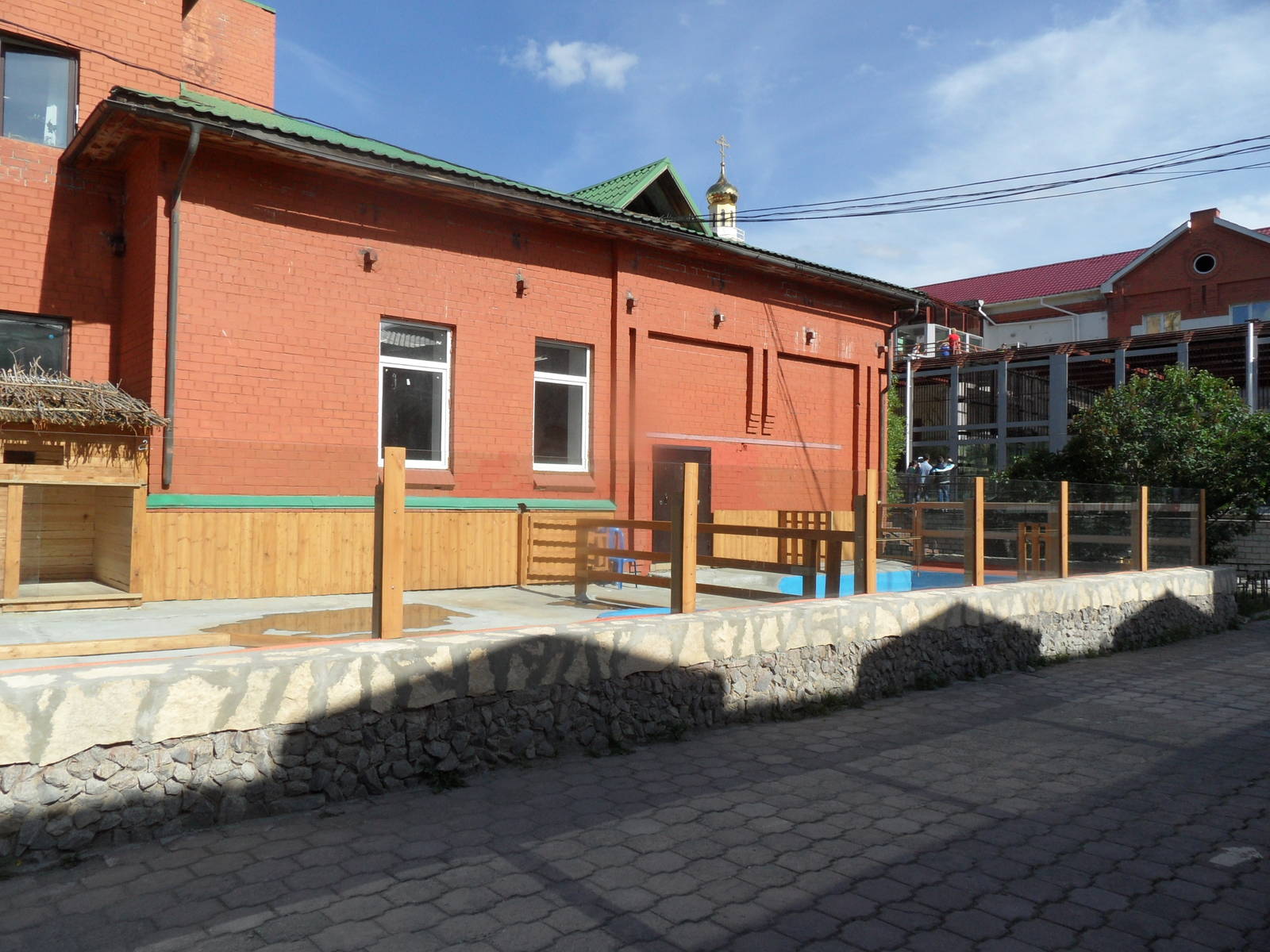 Pygmy hippo outdoor exhibit - 2