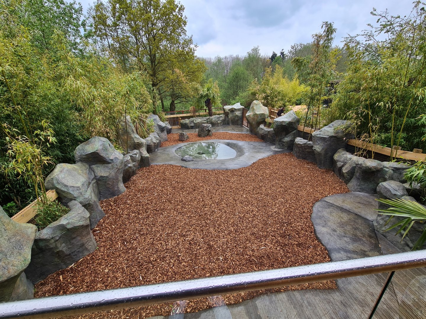 Pygmy hippo outdoor exhibit, Colchester Zoo