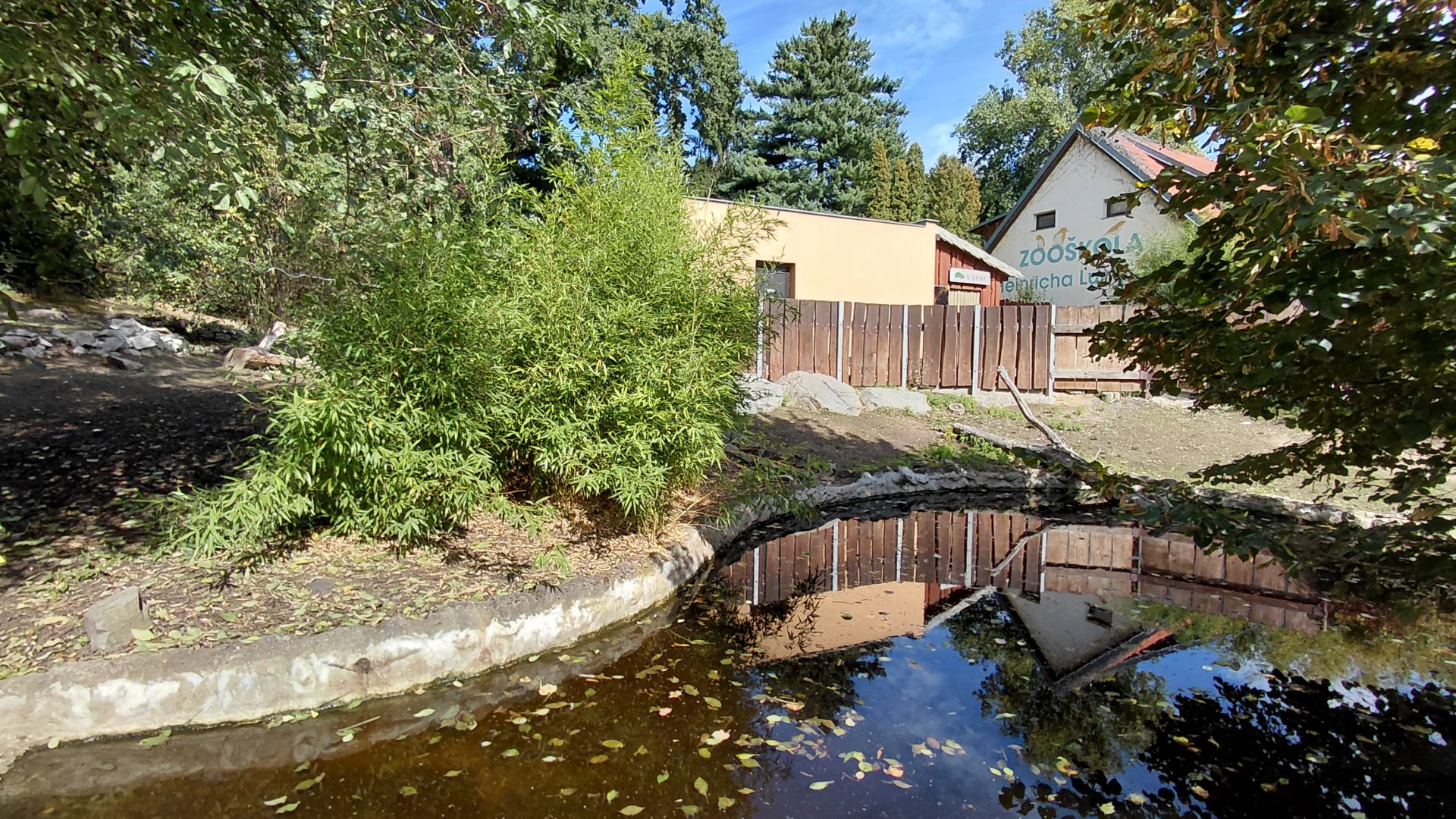 Pygmy hippo outdoor exhibit