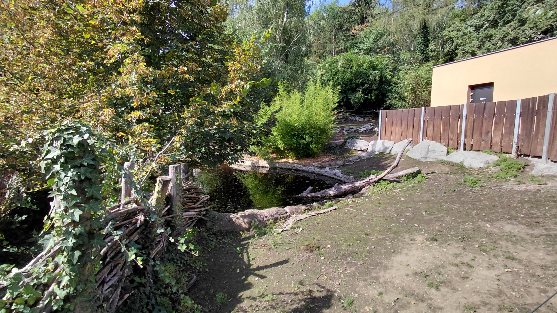 Pygmy hippo outdoor exhibit
