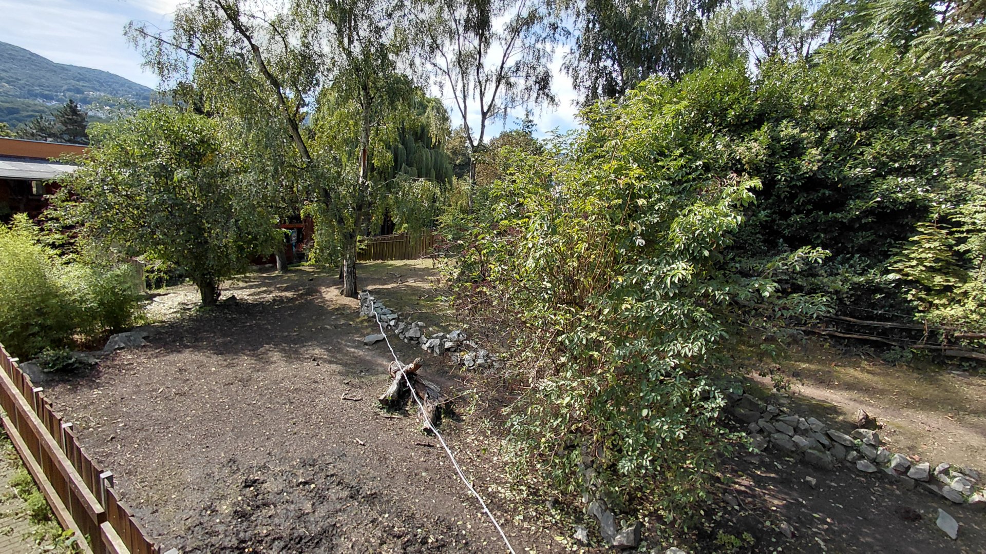Pygmy hippo outdoor exhibit