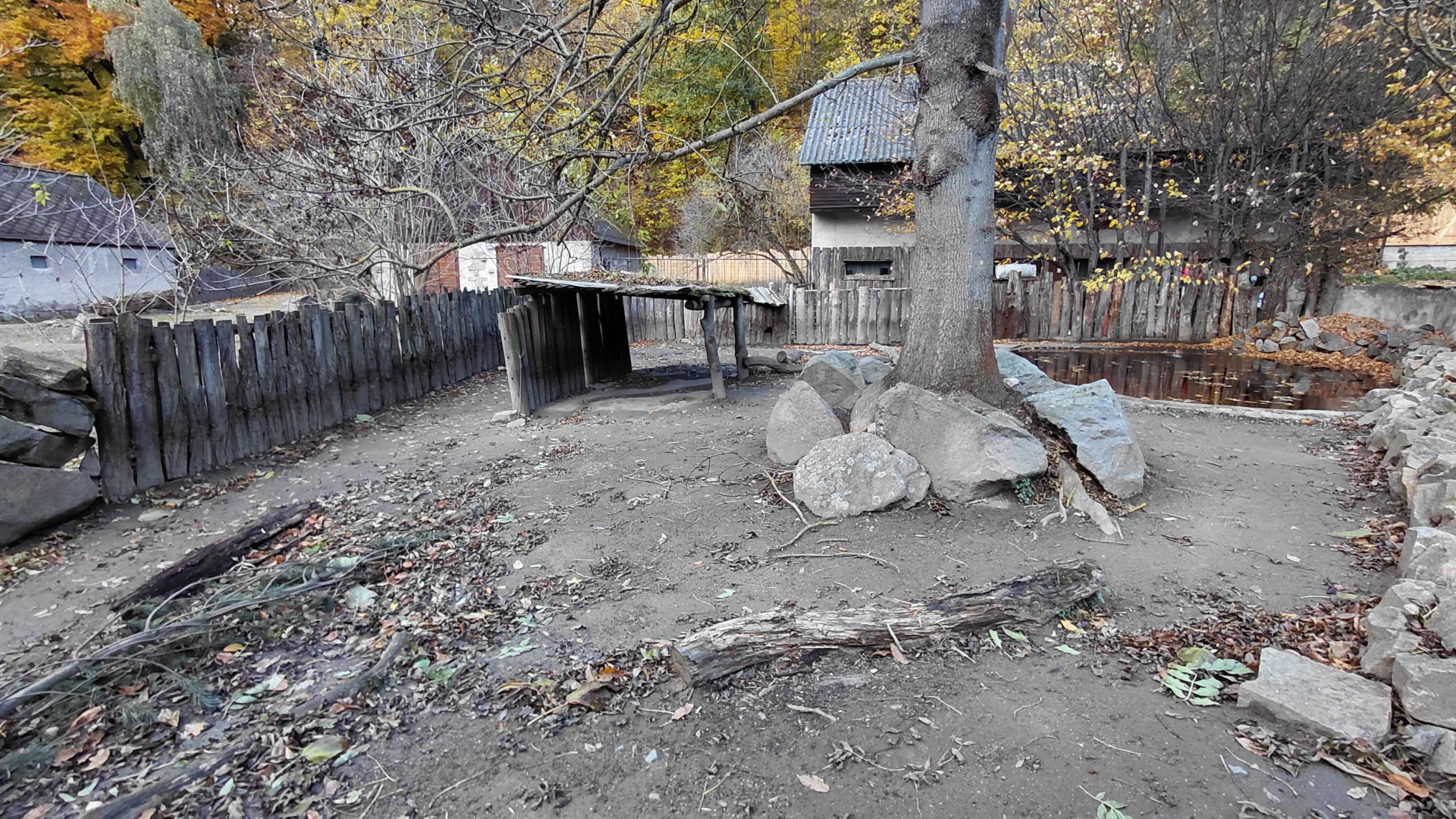 Pygmy hippo outdoor exhibit