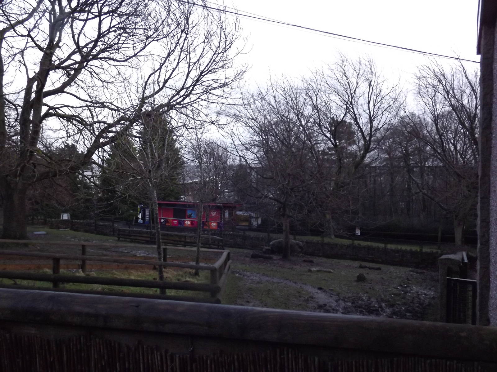 Pygmy hippo paddock at Edinburgh Zoo 28/12/11
