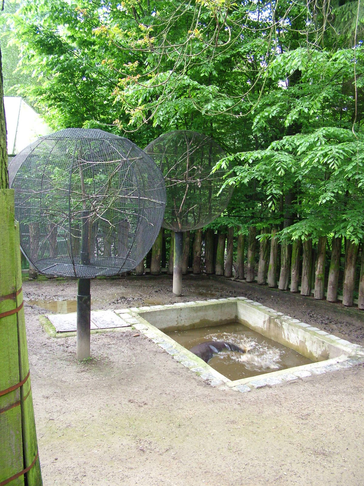 Pygmy Hippo paddock at Olomouc 30/05/10