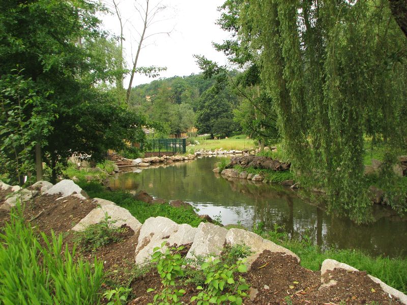Pygmy hippo pool and Angolan guereza island