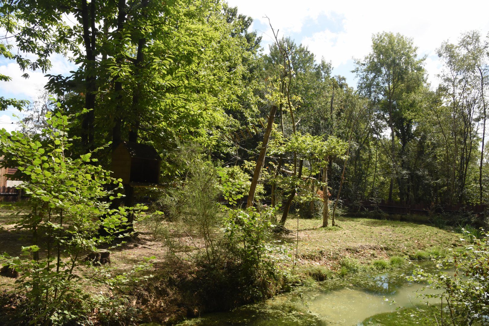 Pygmy Hippo & Roloway Monkey enclosure