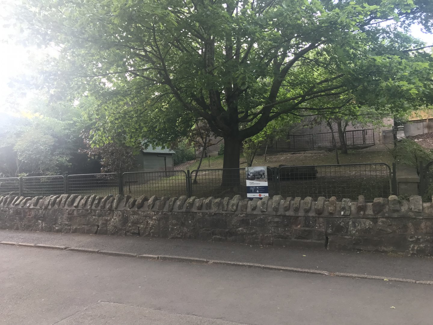 Pygmy hippo separation area