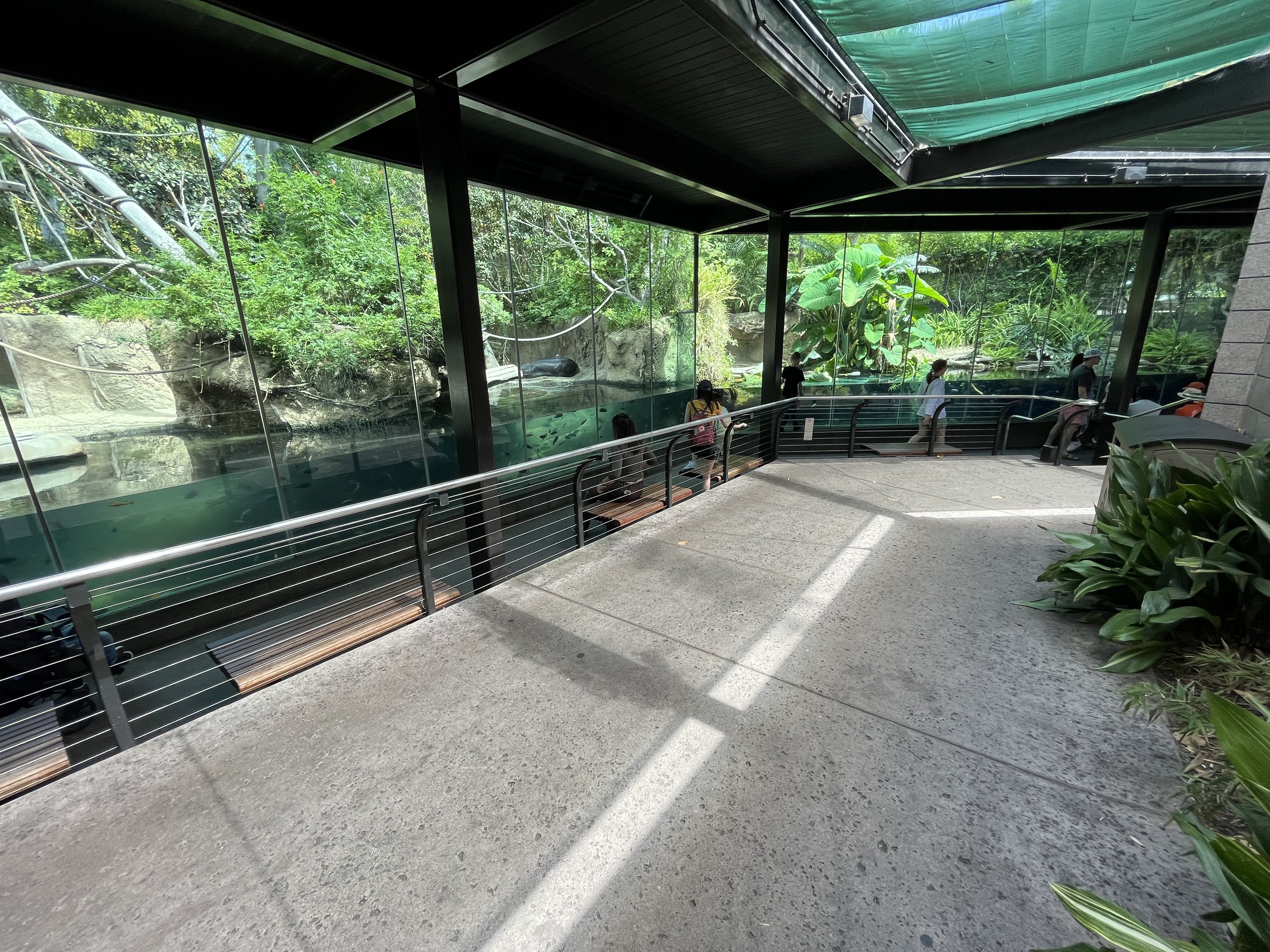 Pygmy Hippo + Slender-snouted Crocodile Exhibits