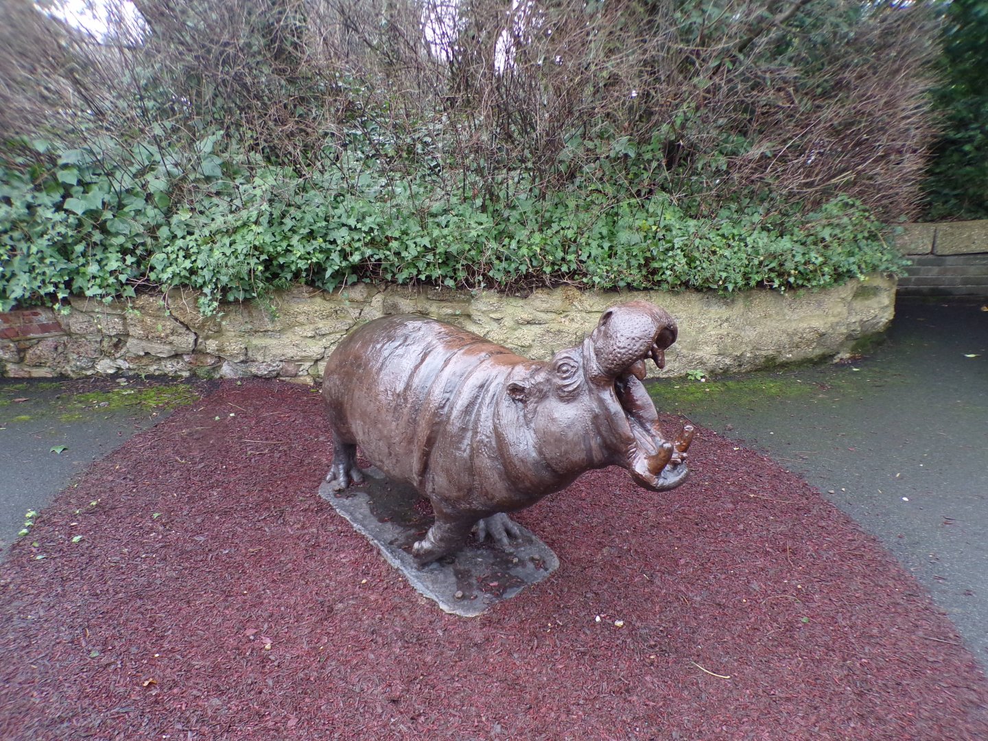 Pygmy hippo statue 11.2.25