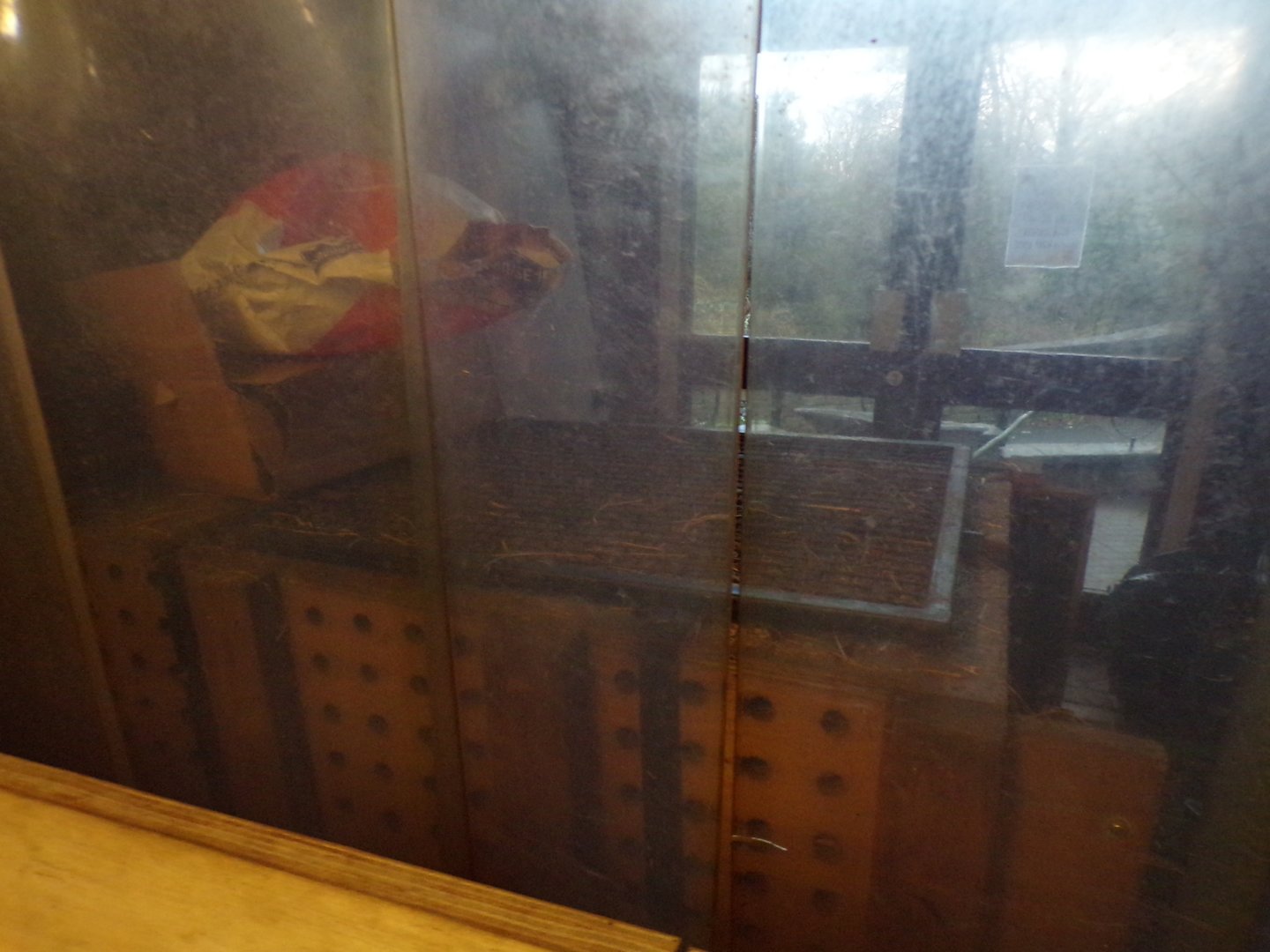 Pygmy hippo training crate