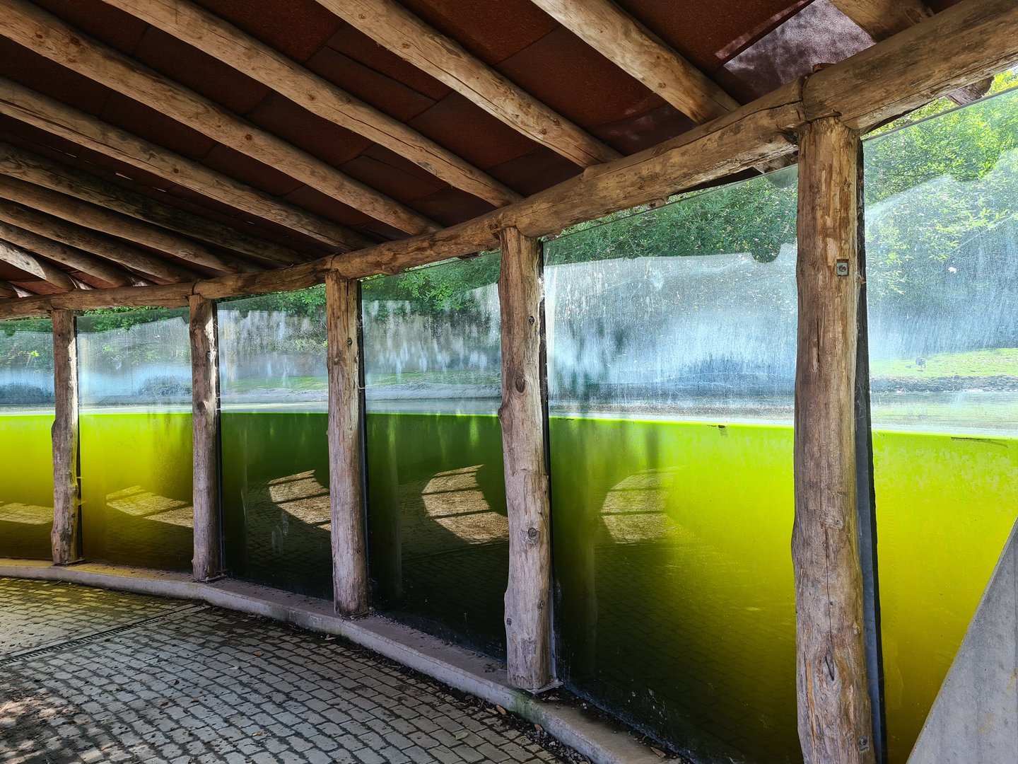 Pygmy hippo underwater viewing point near Restaurant plaza