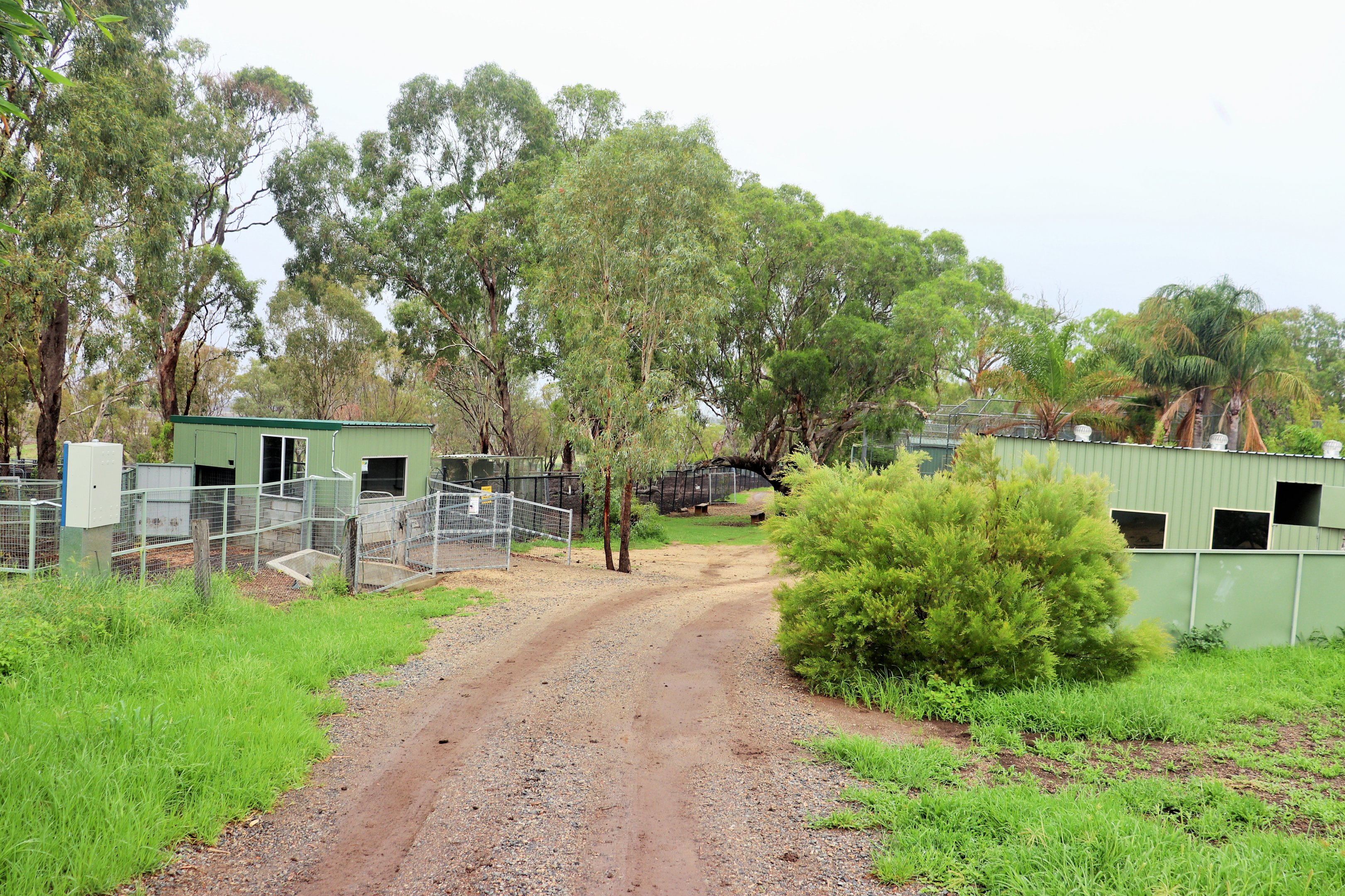 Pygmy Hippo Viewing Area and Meerkat/Porcupine Enclosure