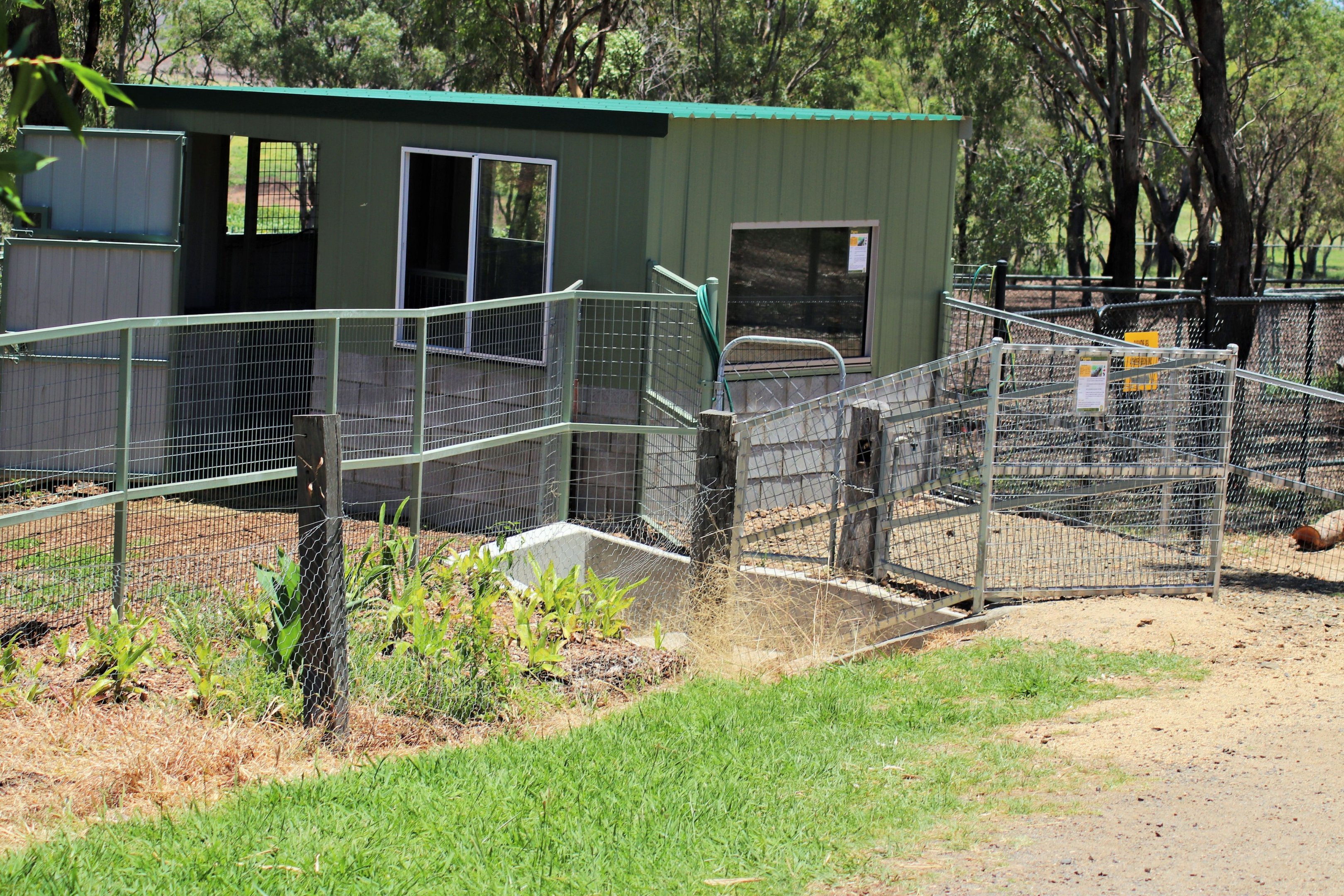 Pygmy Hippo Viewing Area