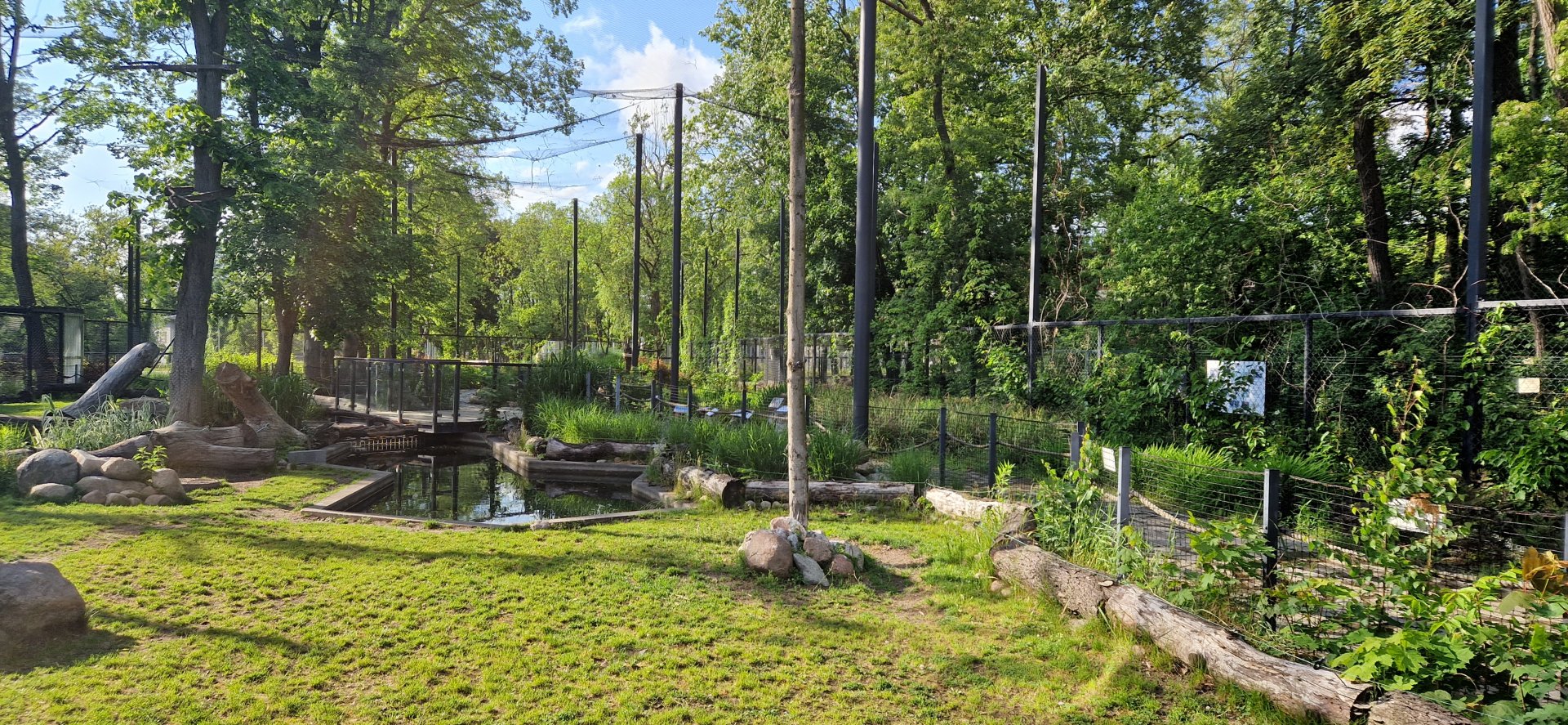 Pygmy Hippo Walktrough aviary
