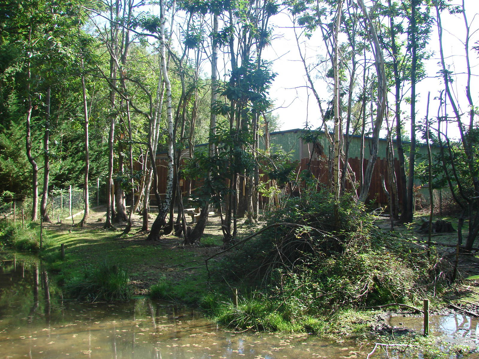 Pygmy hippopotamus and guereza exhibit
