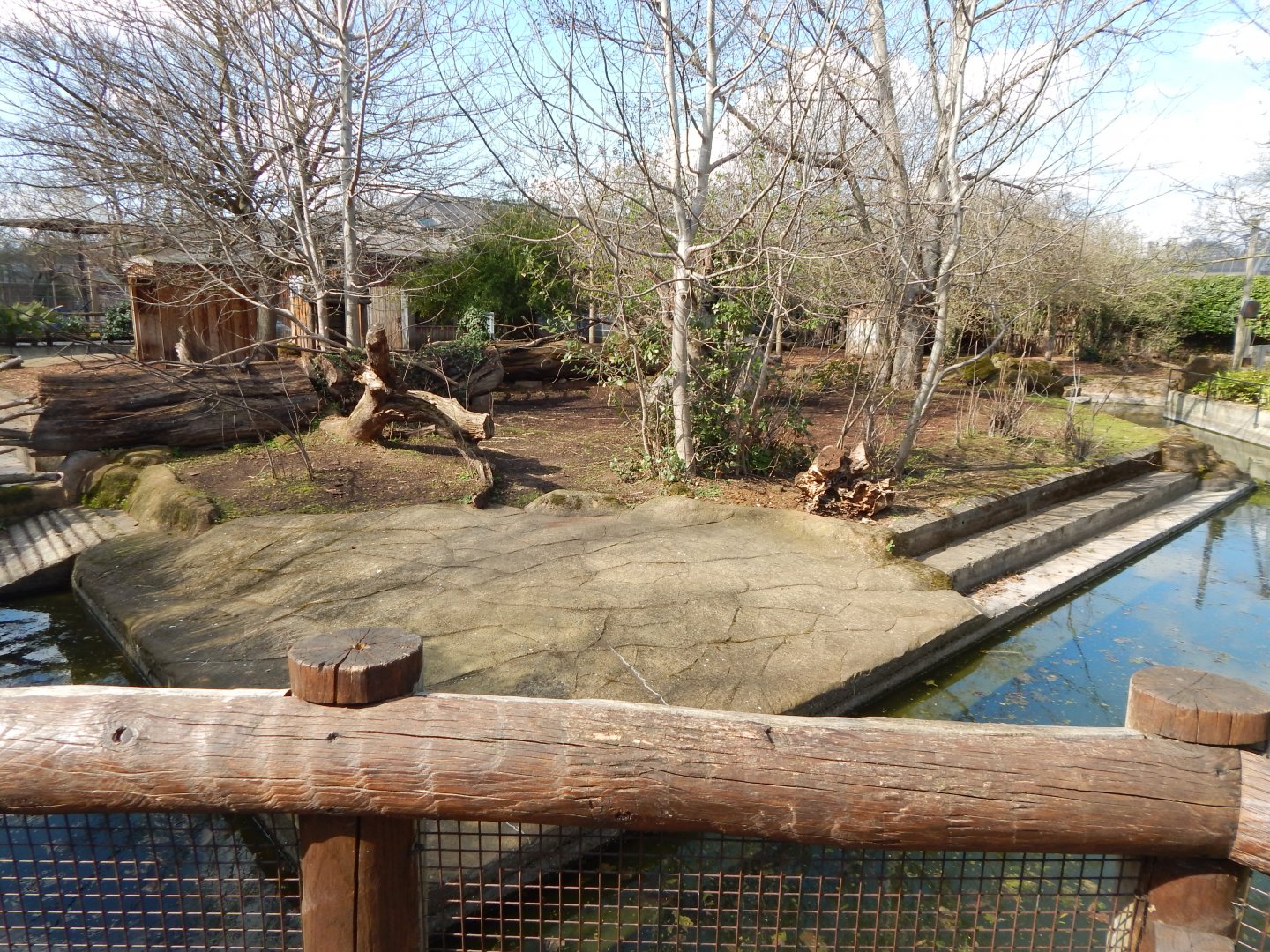 Pygmy hippopotamus enclosure 180322