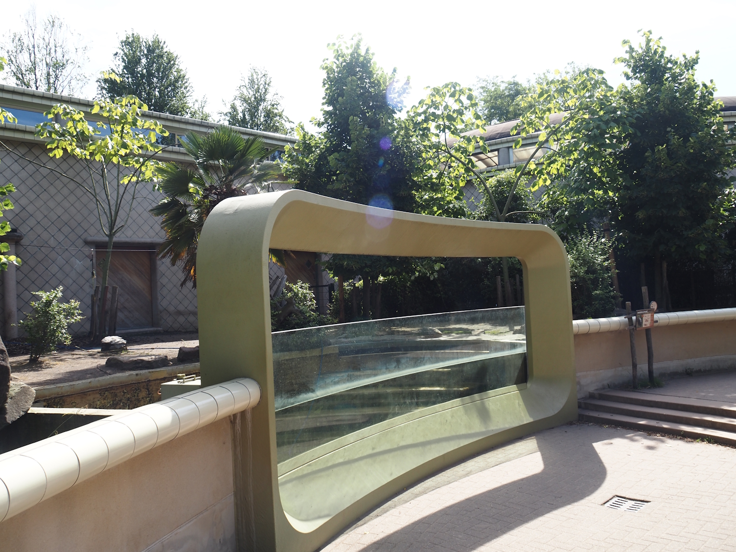 Pygmy hippopotamus exhibit, 2024-06-30