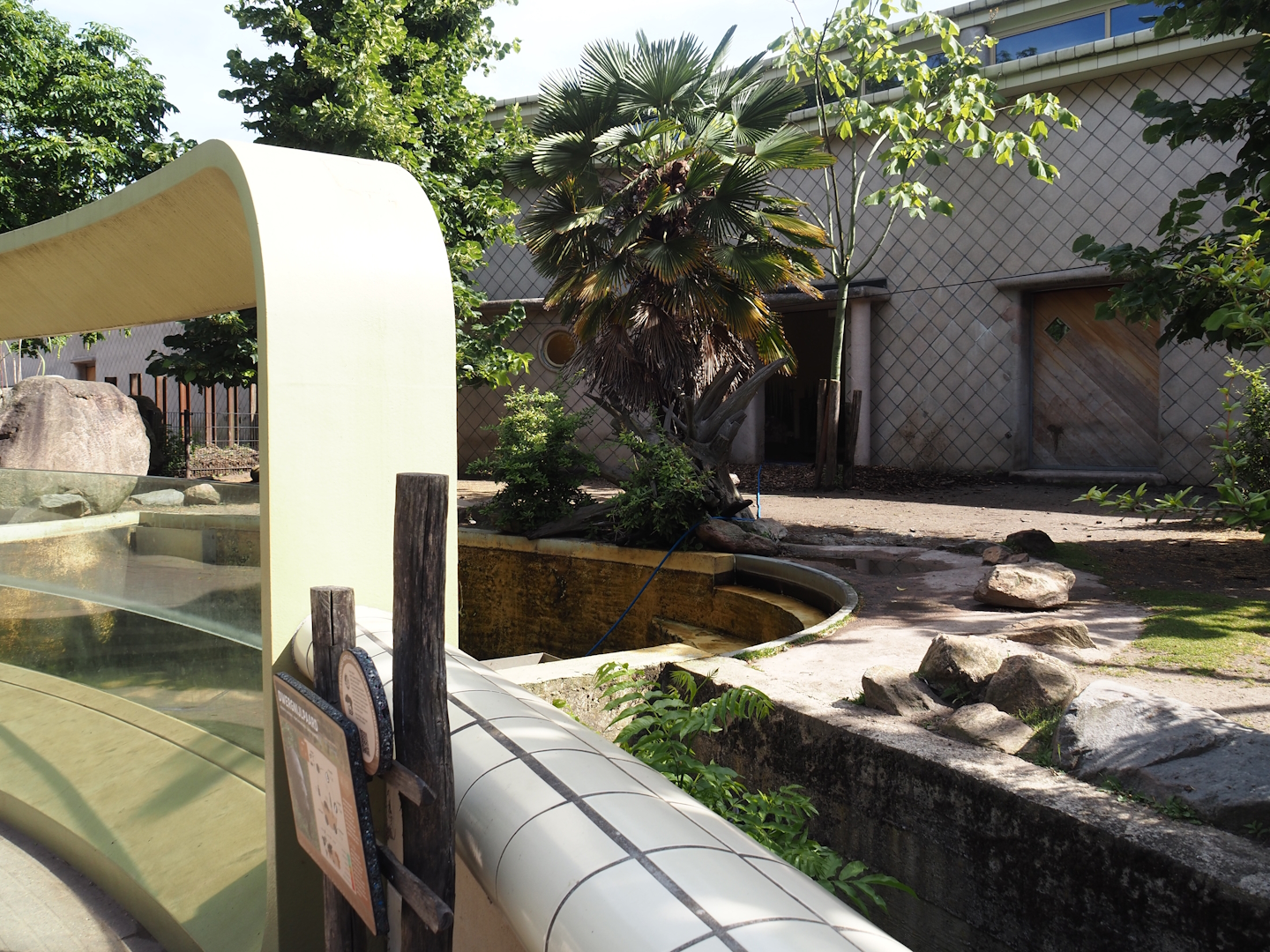 Pygmy hippopotamus exhibit, 2024-06-30