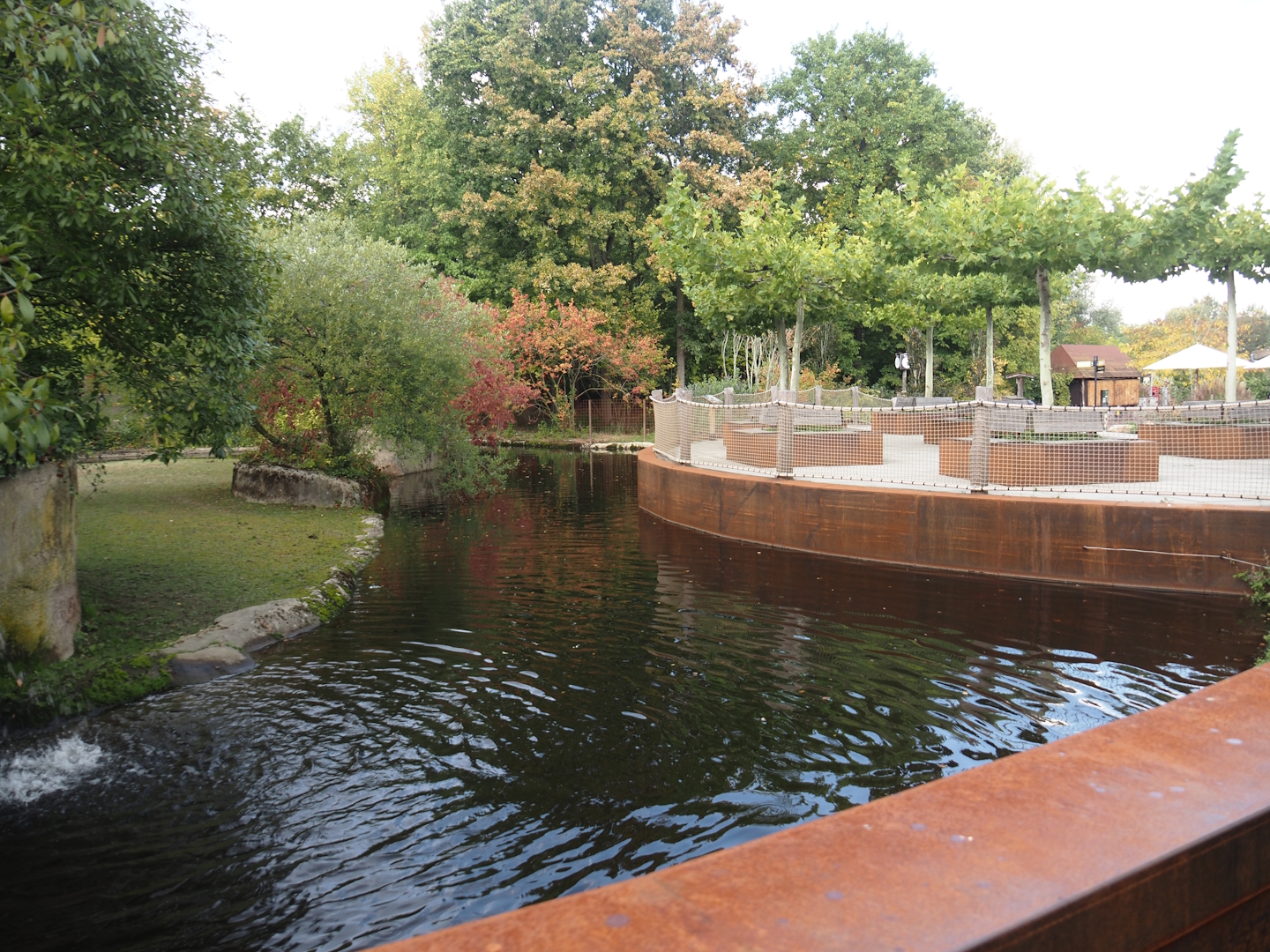 Pygmy hippopotamus exhibit and terrace, 2025-09-30