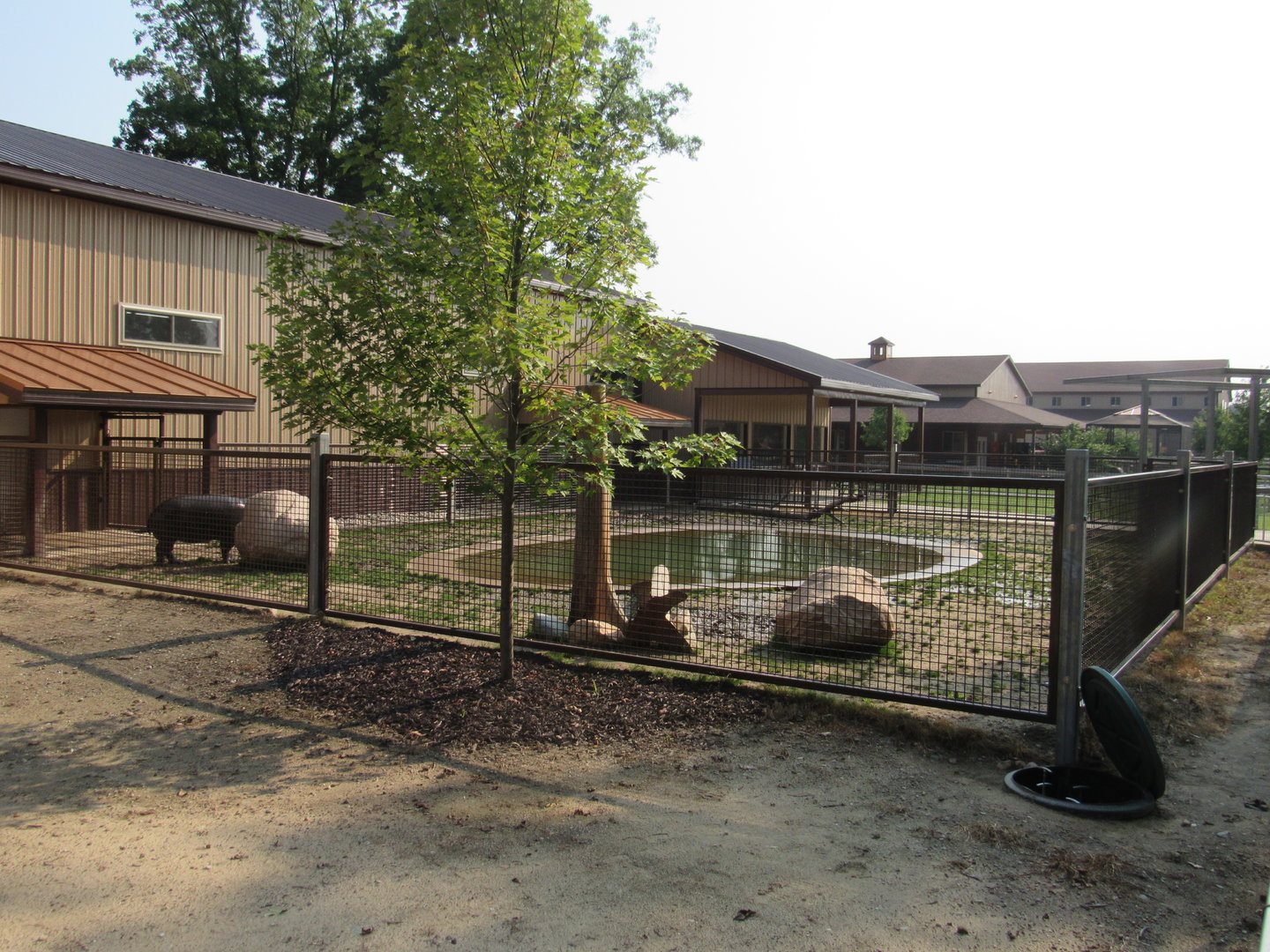 Pygmy Hippopotamus Exhibit (New in 2022)