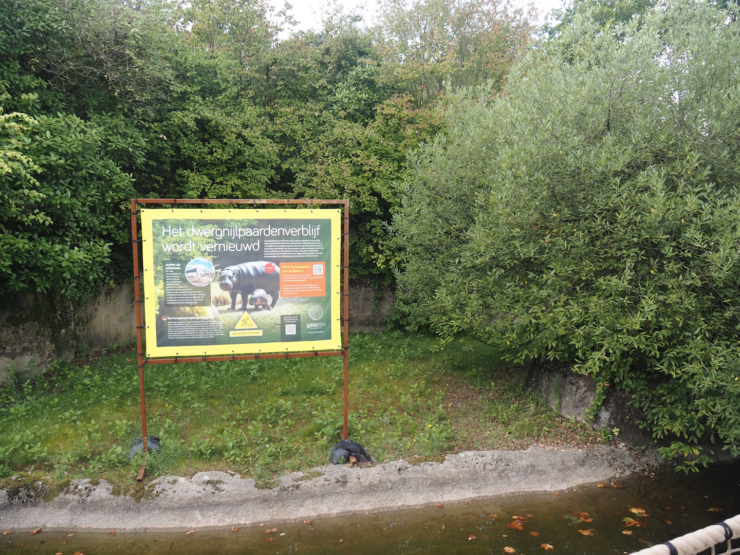 Pygmy hippopotamus exhibit undergoing renovation, 2024-08-21