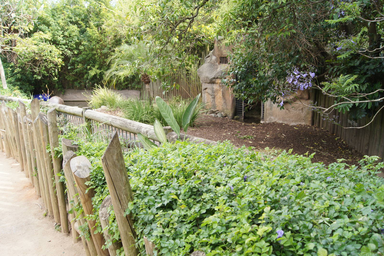 Pygmy Hippopotamus Exhibit