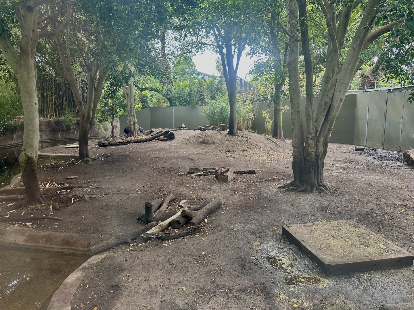 Pygmy Hippopotamus Exhibit