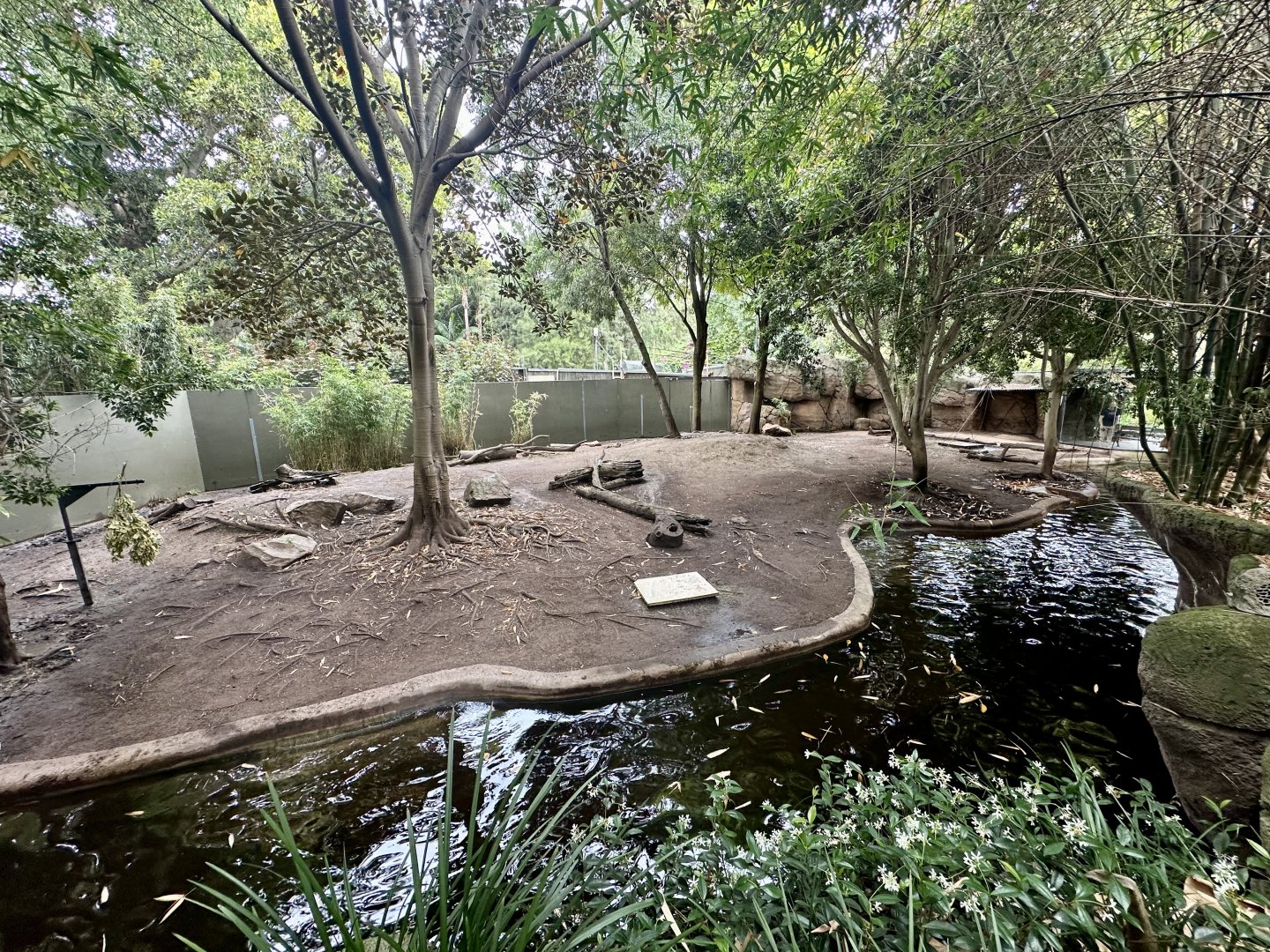 Pygmy Hippopotamus Exhibit