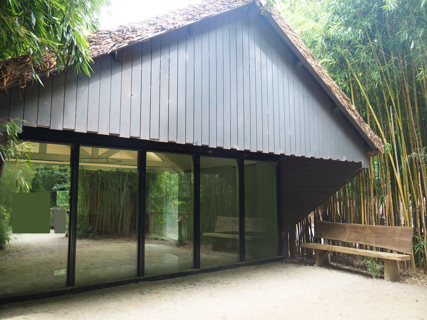 Pygmy hippopotamus house, 2019-08-11