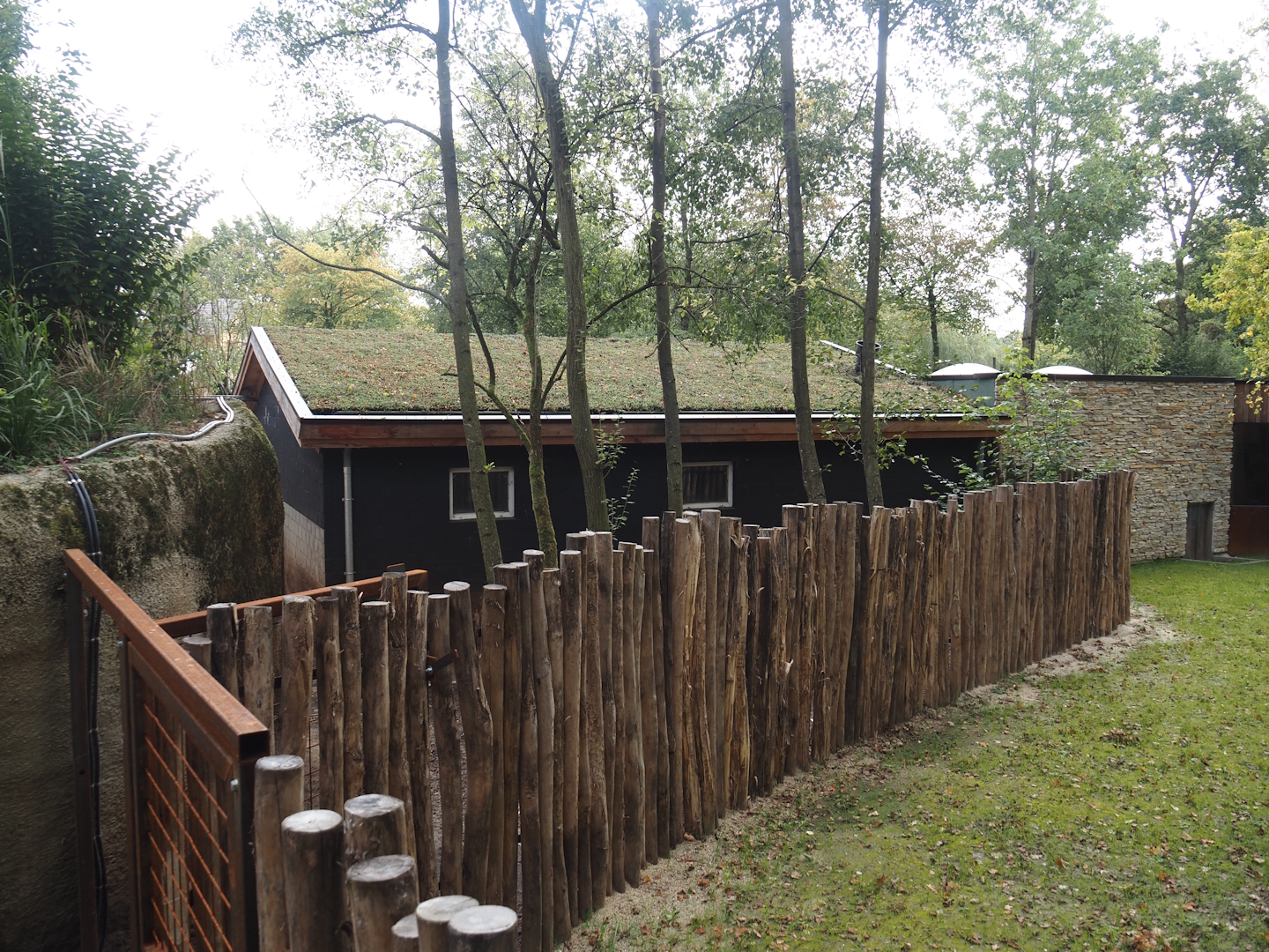 Pygmy hippopotamus house, 2025-09-30