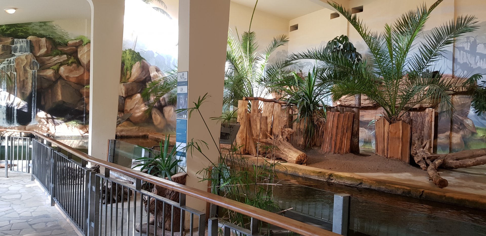 Pygmy hippopotamus house interior