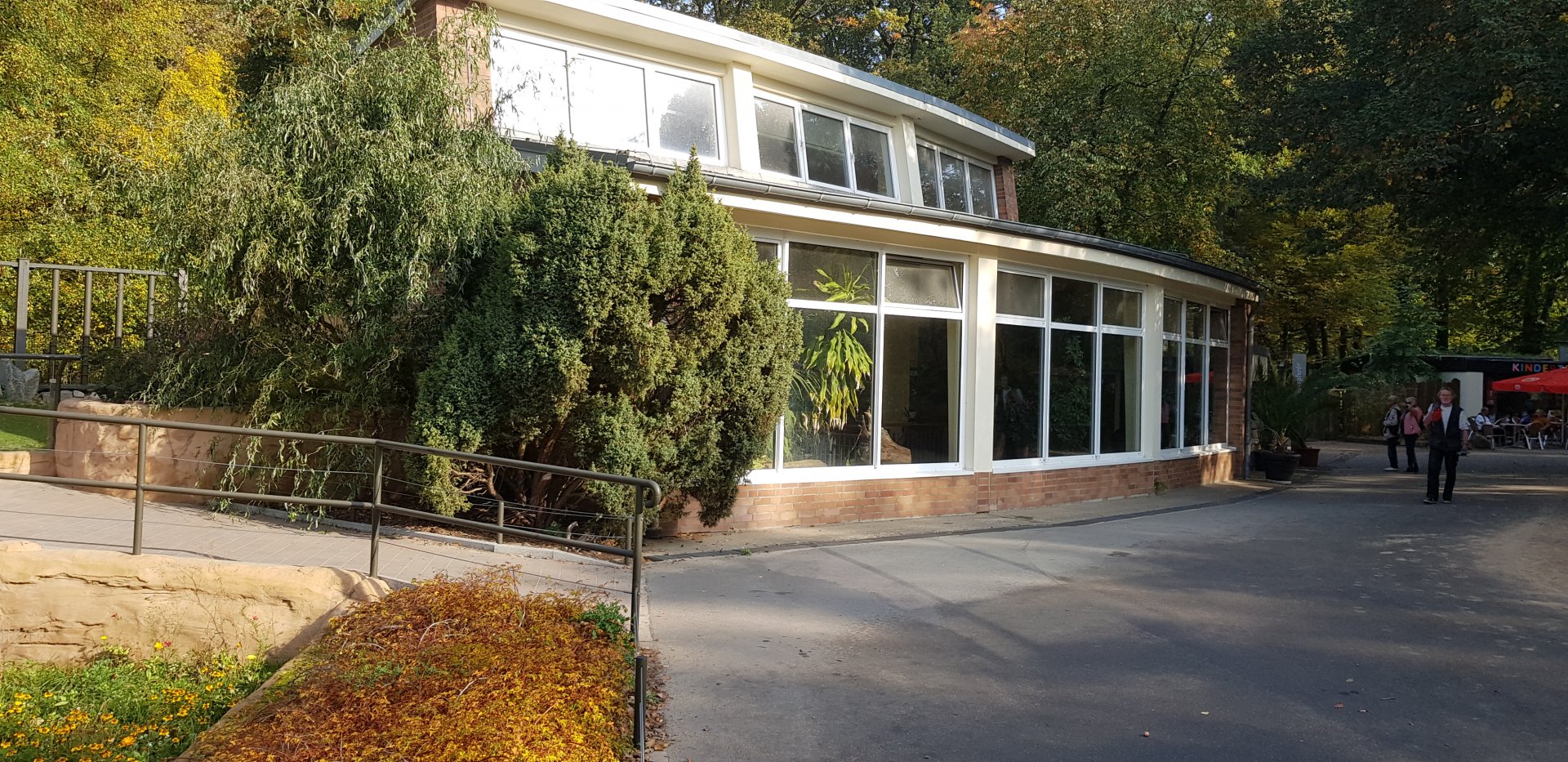 Pygmy hippopotamus house