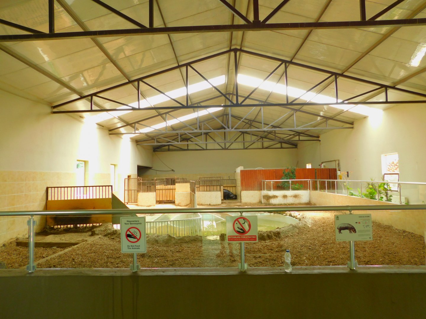 Pygmy hippopotamus indoor area