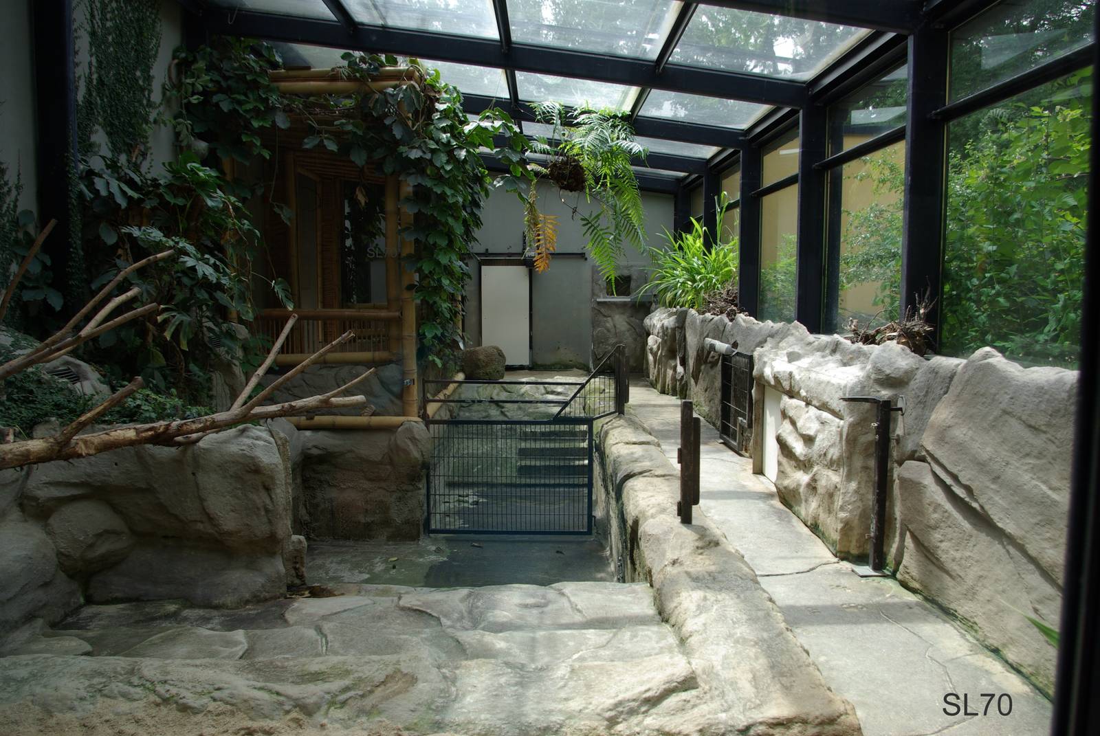 Pygmy Hippopotamus indoor enclosure