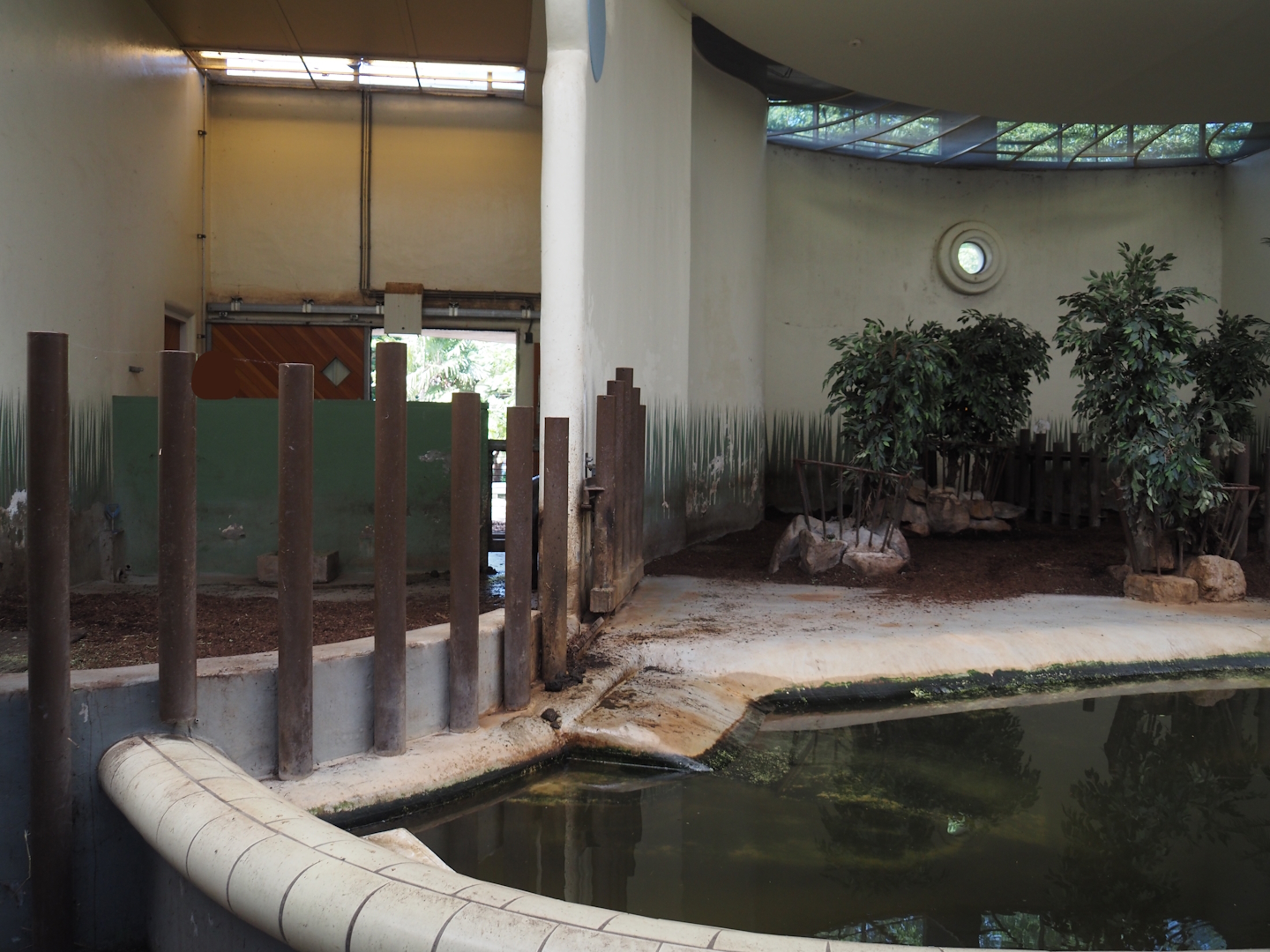 Pygmy hippopotamus indoor housing, 2024-06-30