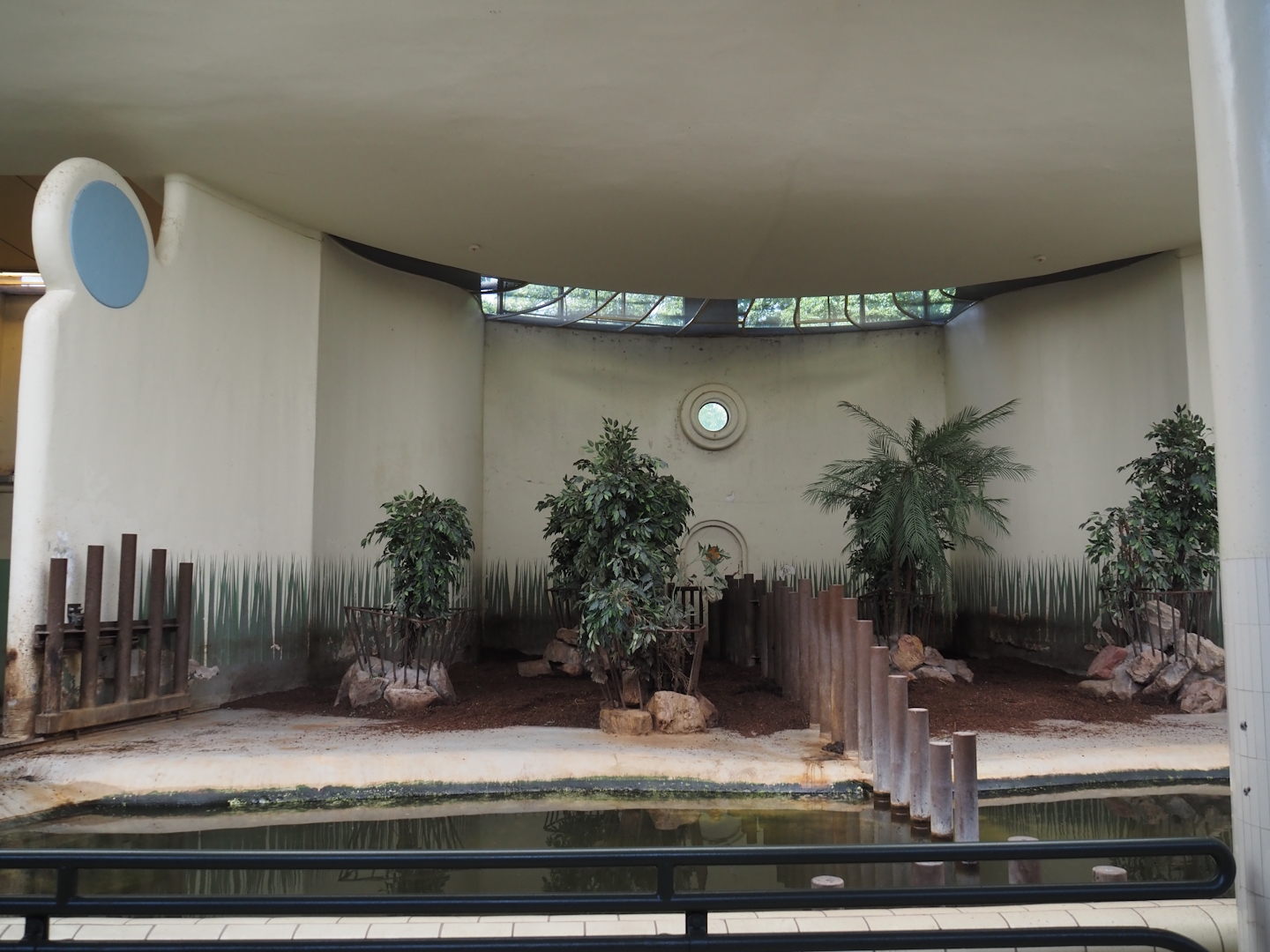 Pygmy hippopotamus indoor housing, 2024-06-30