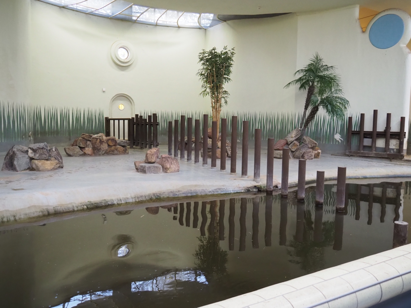 Pygmy hippopotamus indoor housing (Nov 10th, 2018)