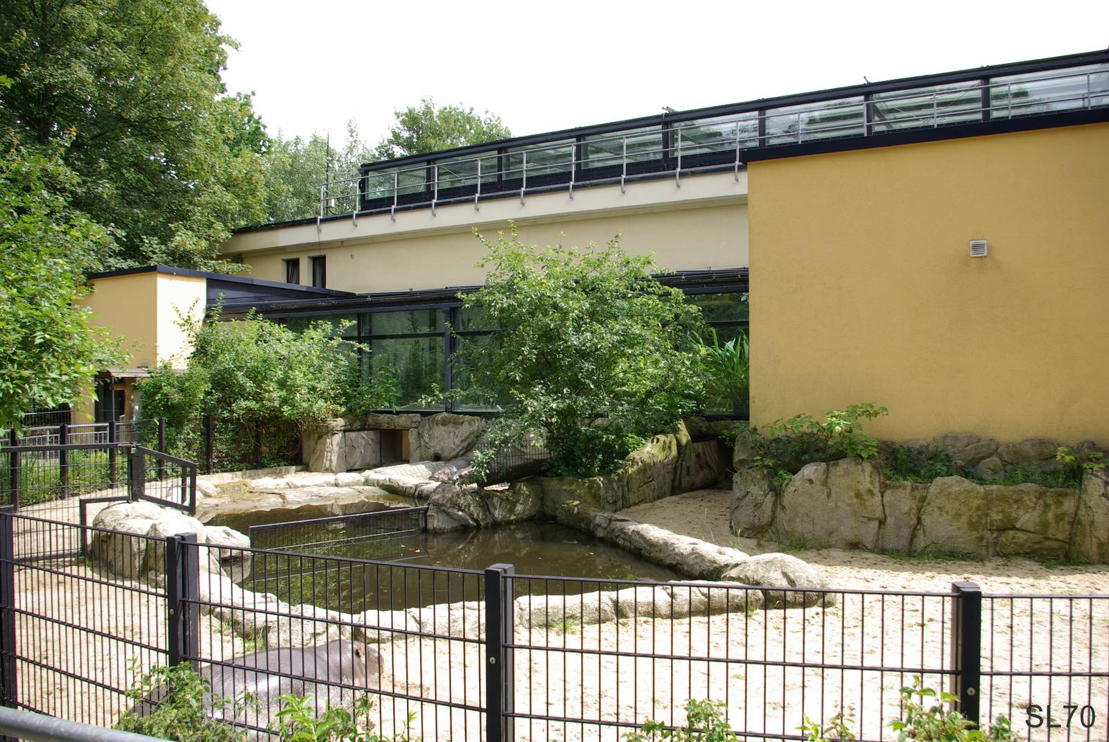 Pygmy Hippopotamus outdoor enclosure