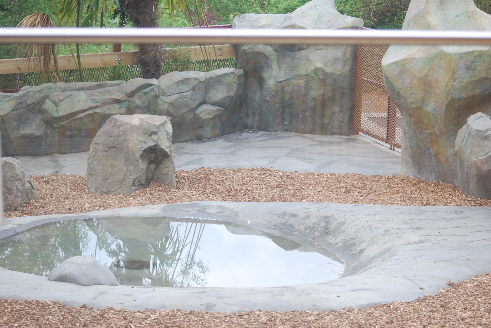 Pygmy hippopotamus outdoor enclosure