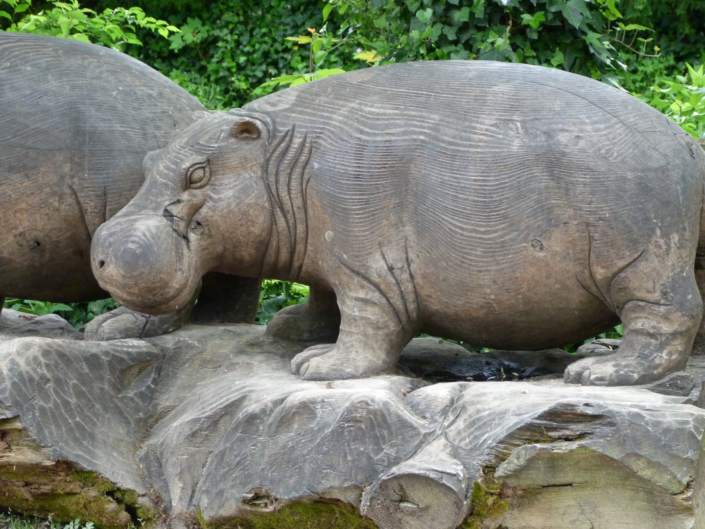 Pygmy hippopotamus statue -Bioparc de Doué la Fontaine (2025)