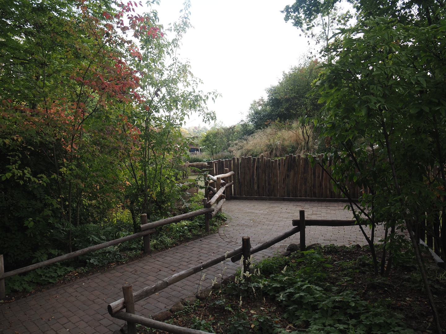 Pygmy hippopotamus viewing area, 2025-09-30