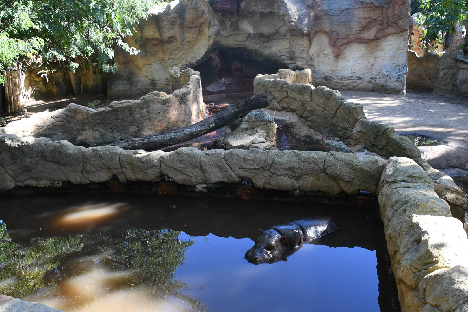 Pygmy Hippos Exhibits (set of two enclosures)