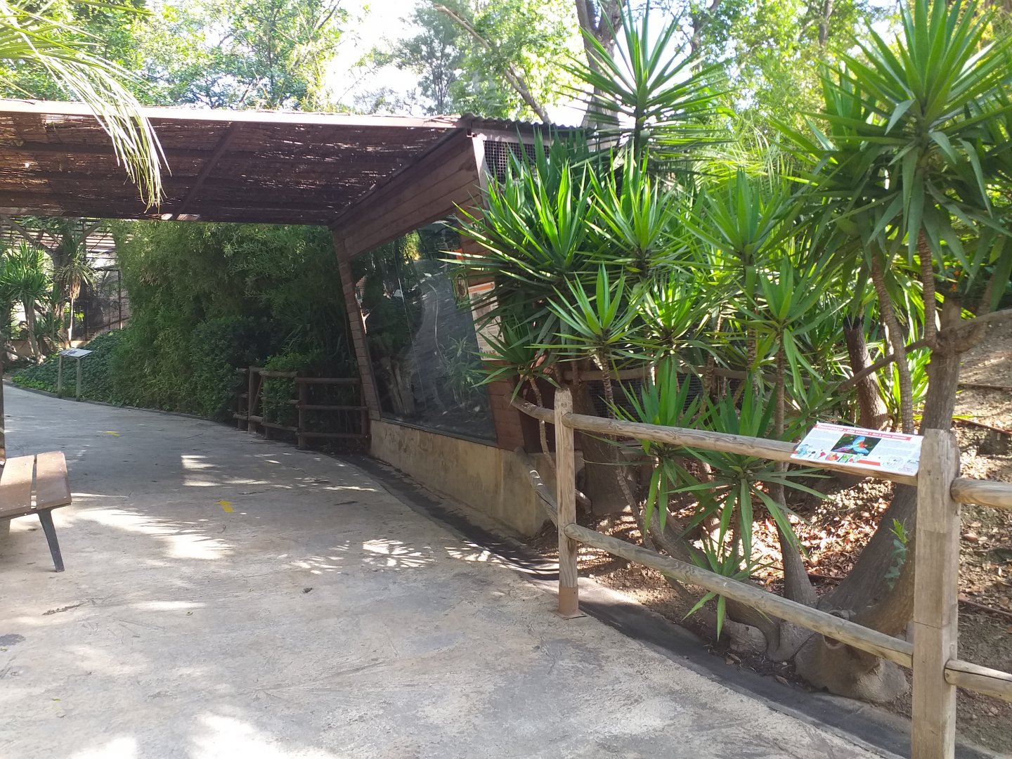 Pygmy marmoset and Green-winged macaw area -TerraNatura Benidorm (2021)