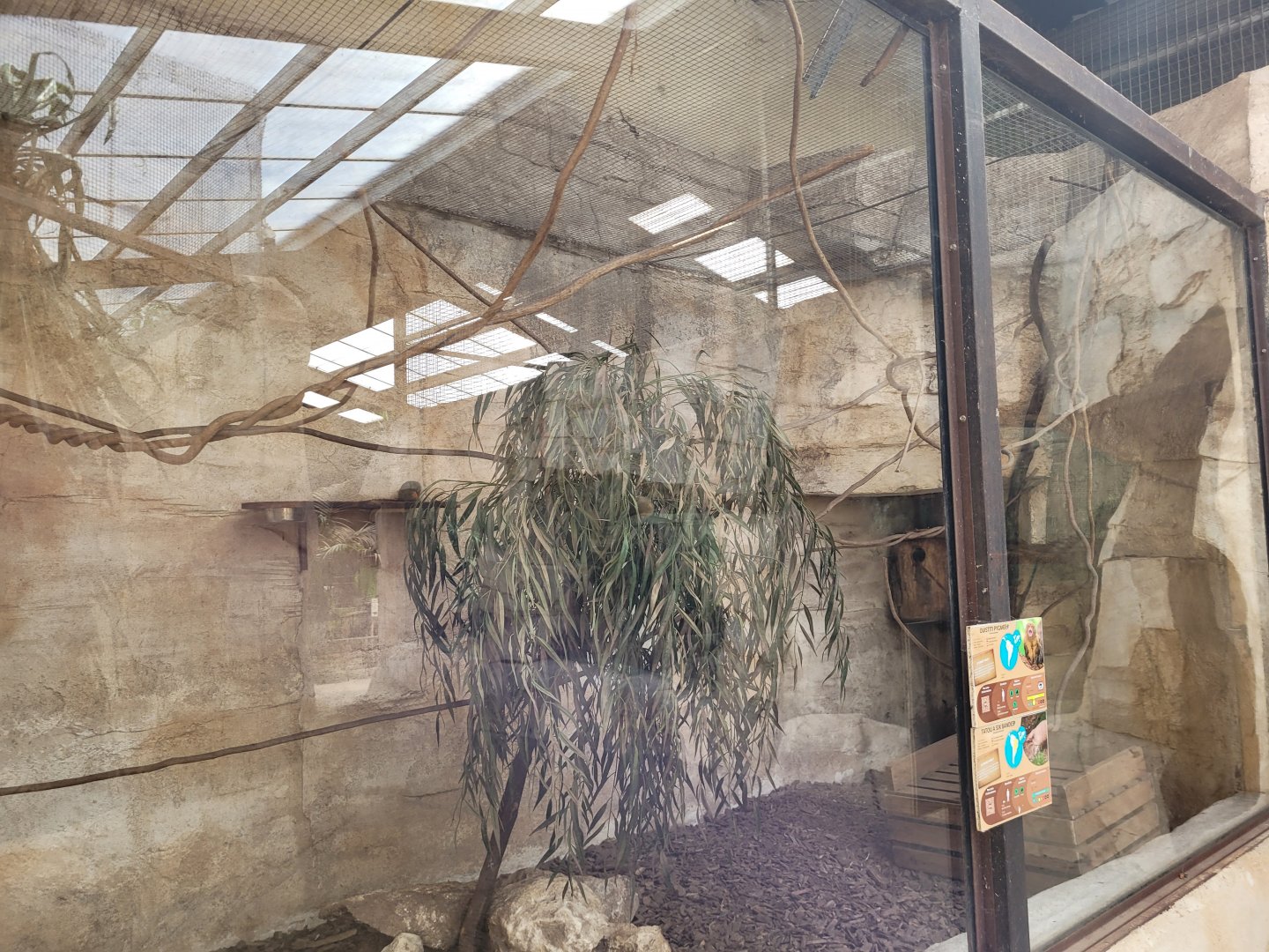 Pygmy marmoset and Six-banded armadillo exhibit -Zoo du bassin d'Arcachon (2024)