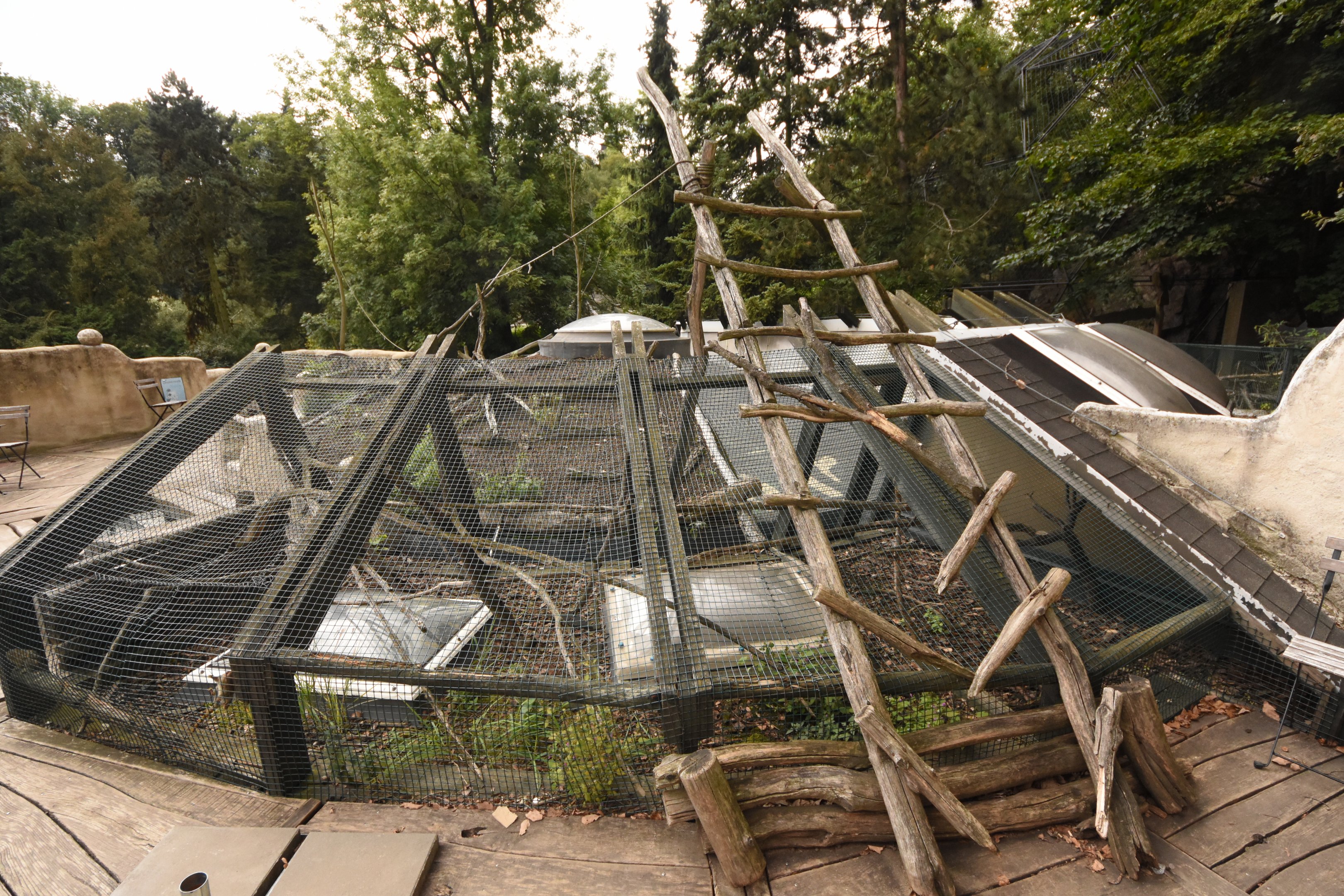 Pygmy marmoset cage on the roof