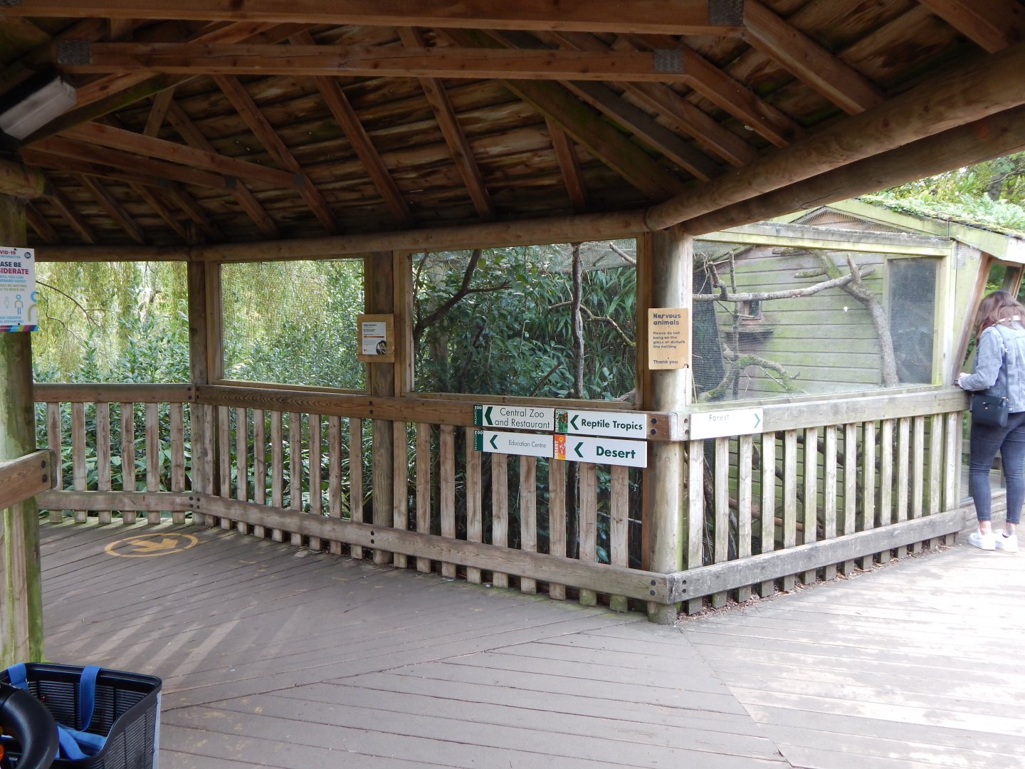 Pygmy marmoset enclosure 181020