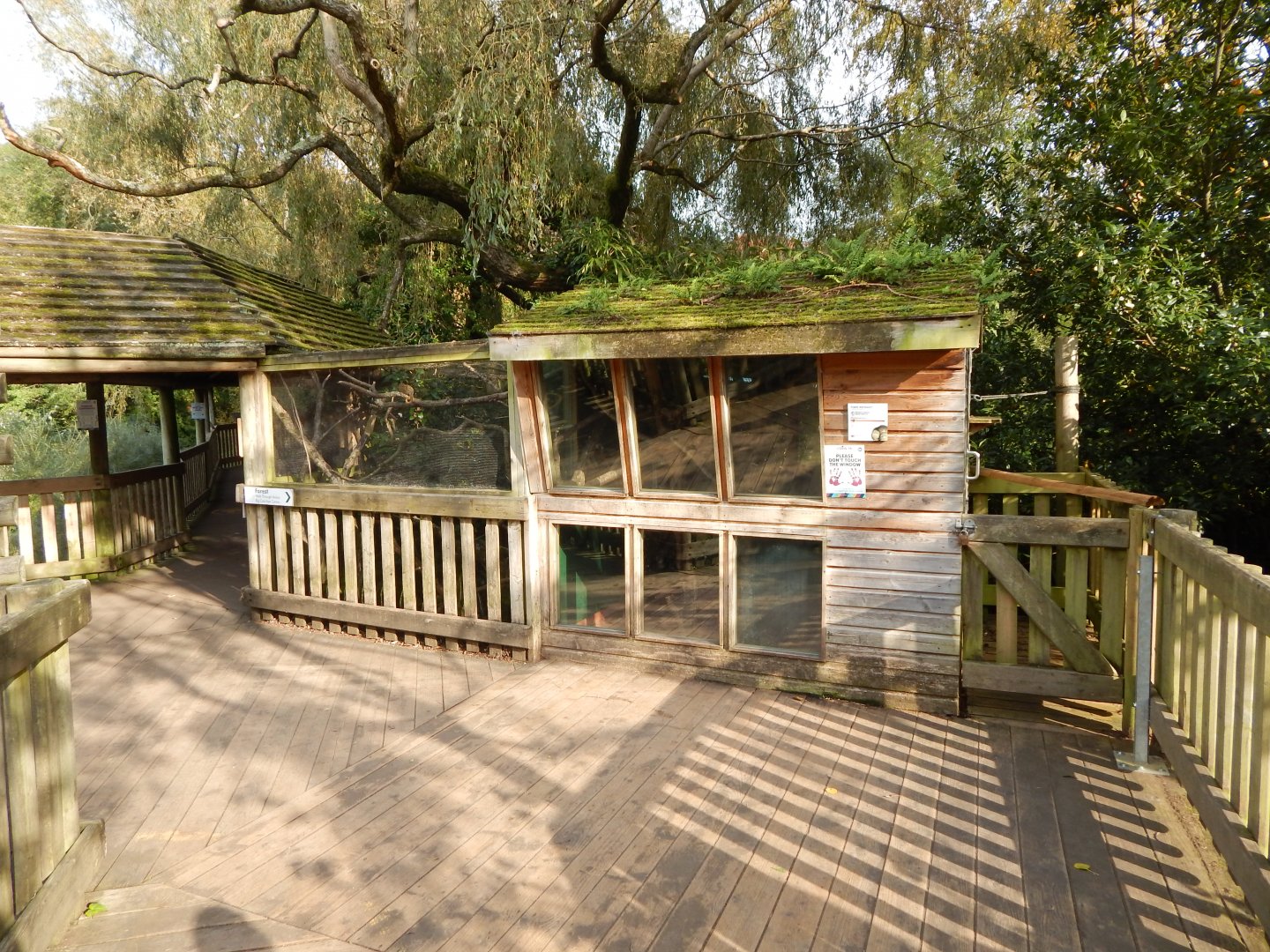 Pygmy marmoset enclosure 181020