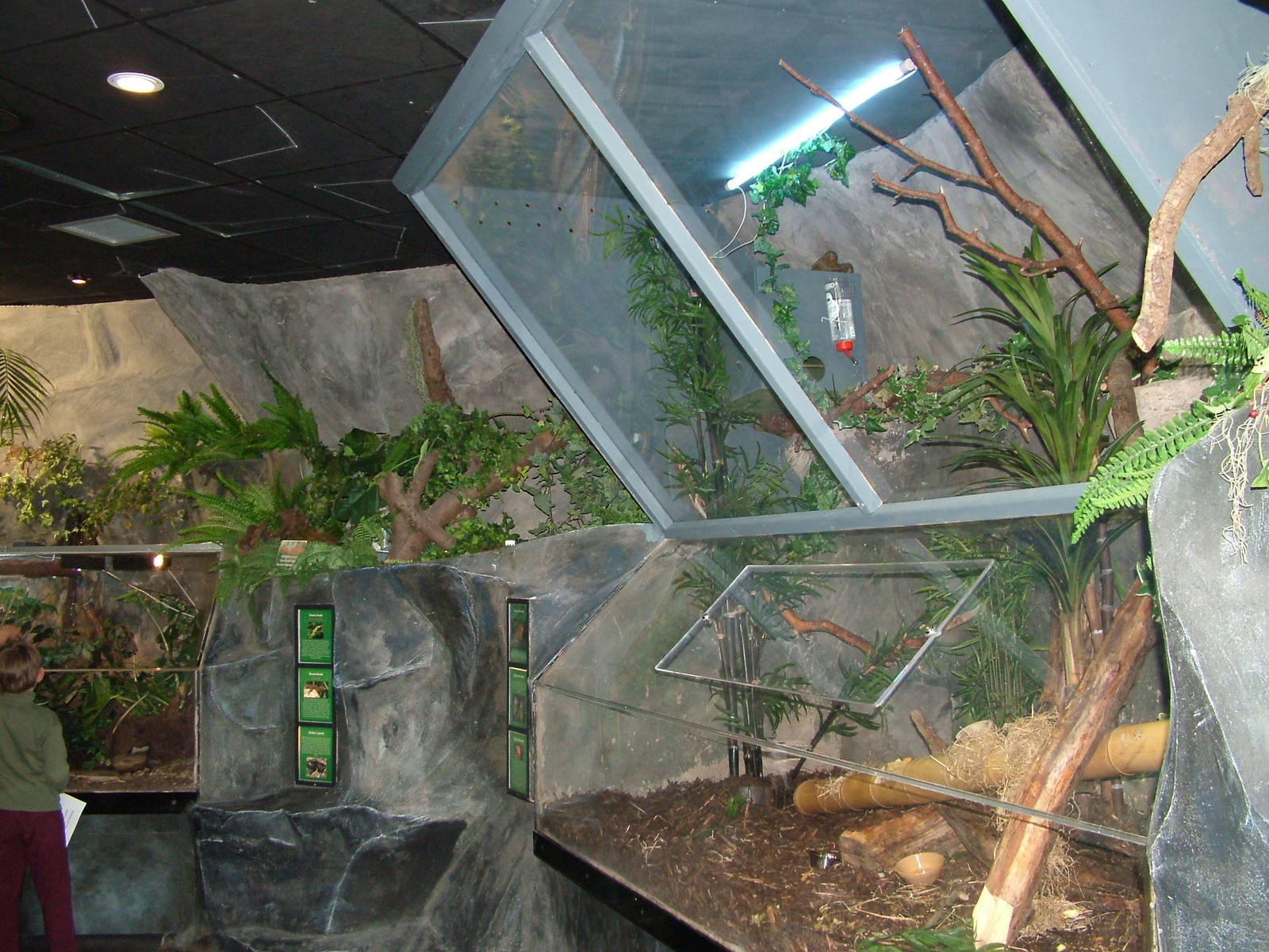 Pygmy Marmoset enclosure at Lakes Aquarium 2008